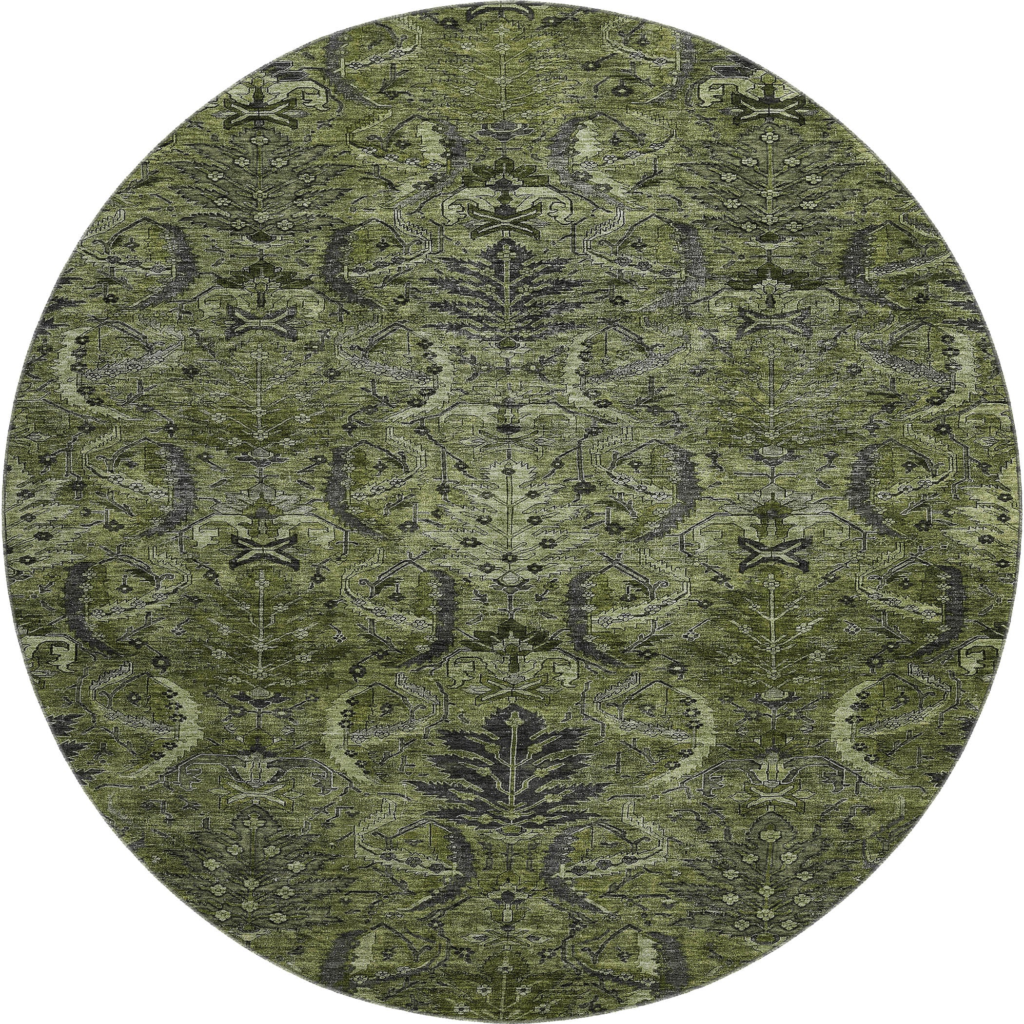 Siena Machine Washable Transitional Olive Green Rug 8' x 8' #shape_Round
