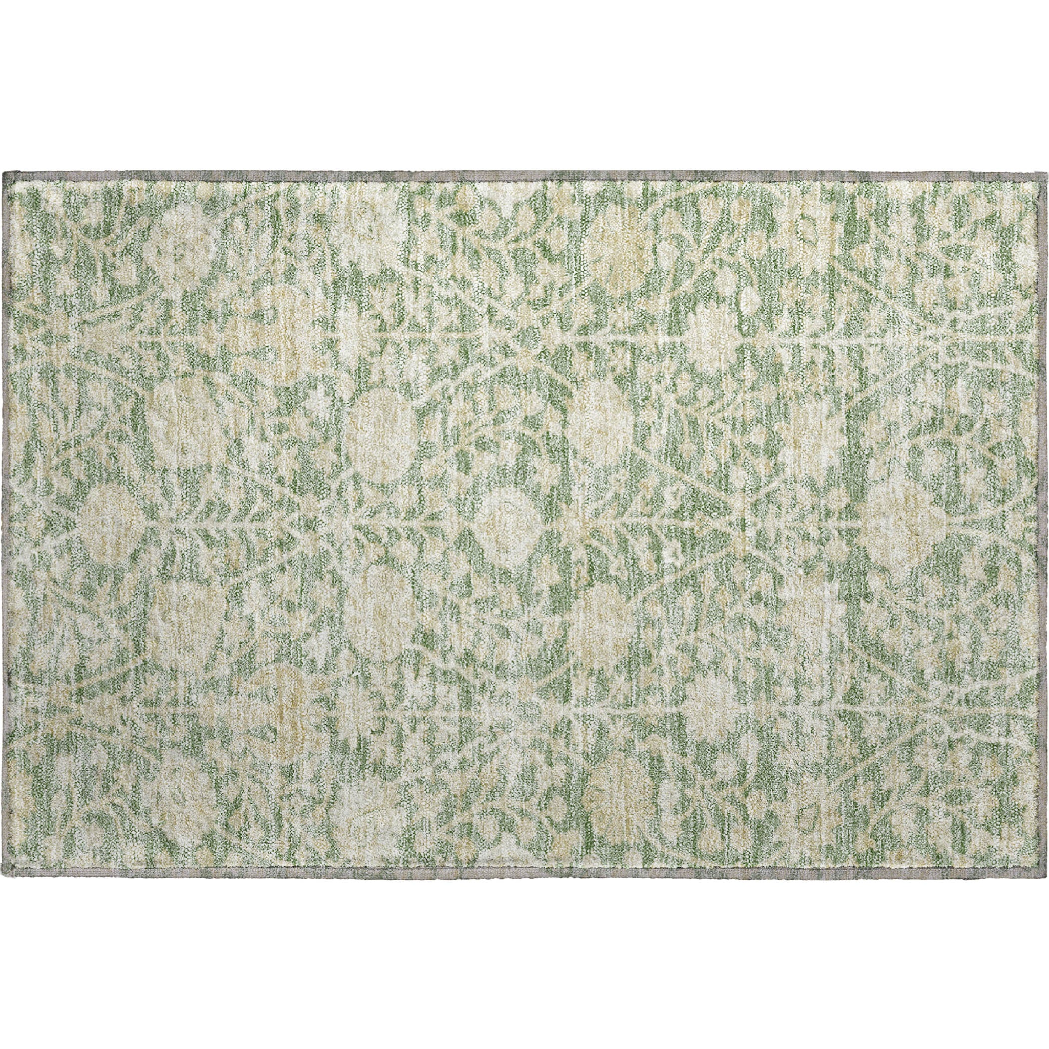 Budapest Machine Washable Transitional Aloe Green Rug 1'8" x 2'6" #shape_Rectangle