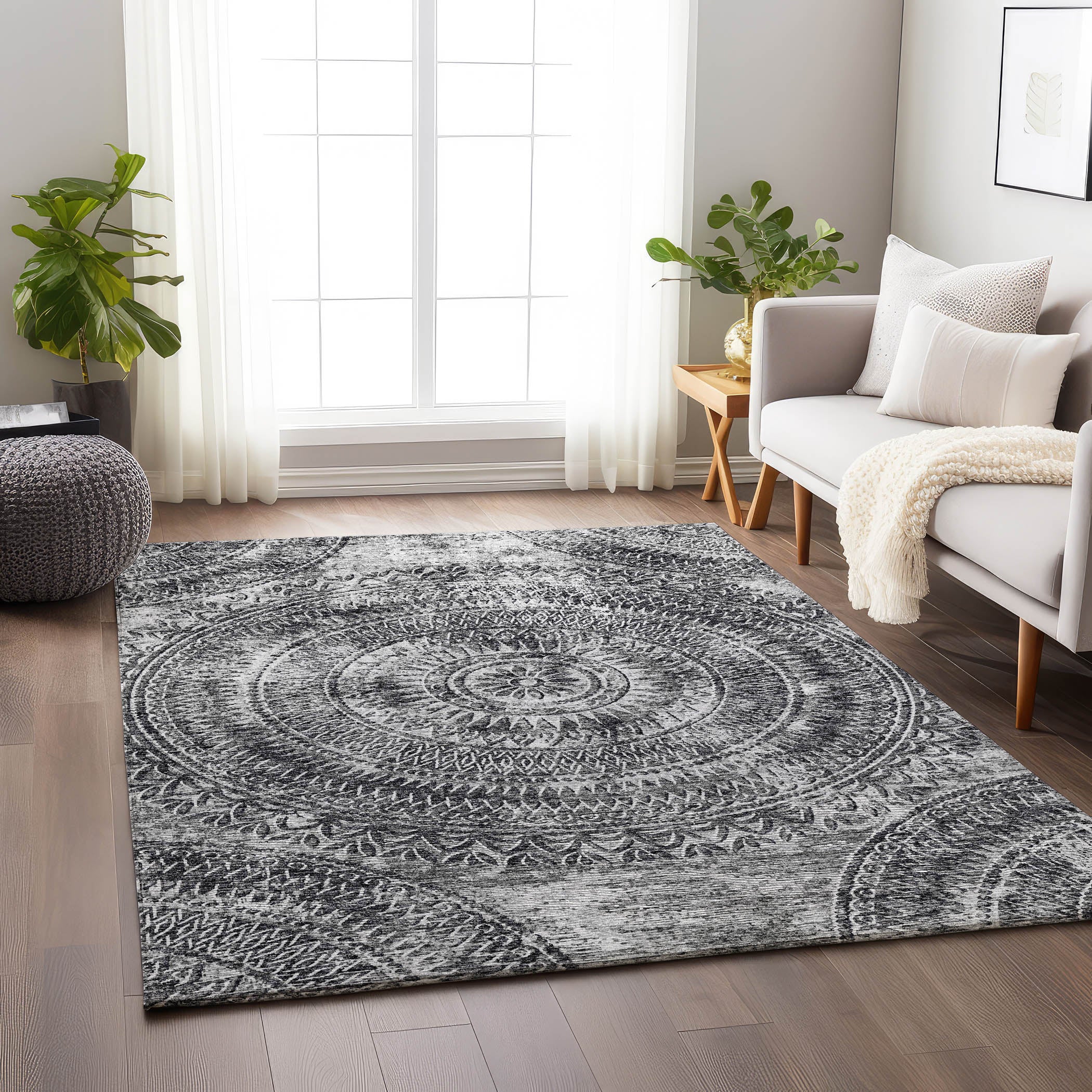 Antigua Machine Washable Transitional Gray Rug 2'6" x 3'10" #shape_Rectangle