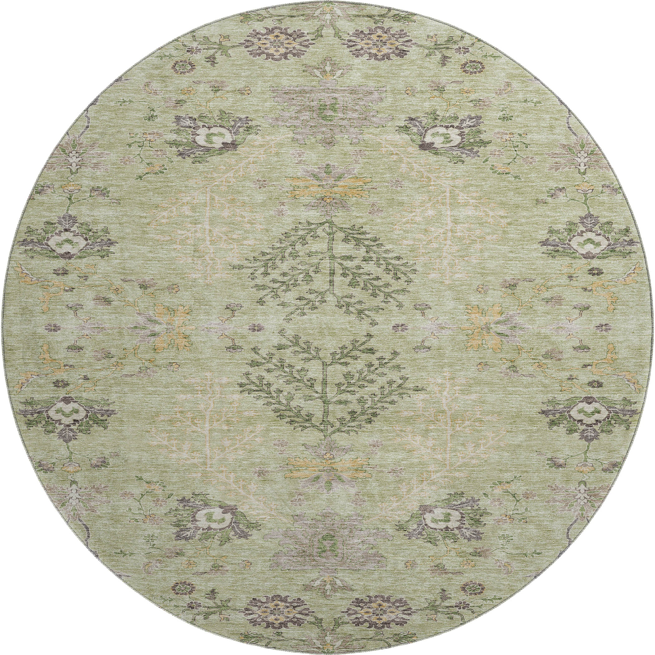 Queenstown Machine Washable Transitional Aloe Green Rug 8' x 8' #shape_Round