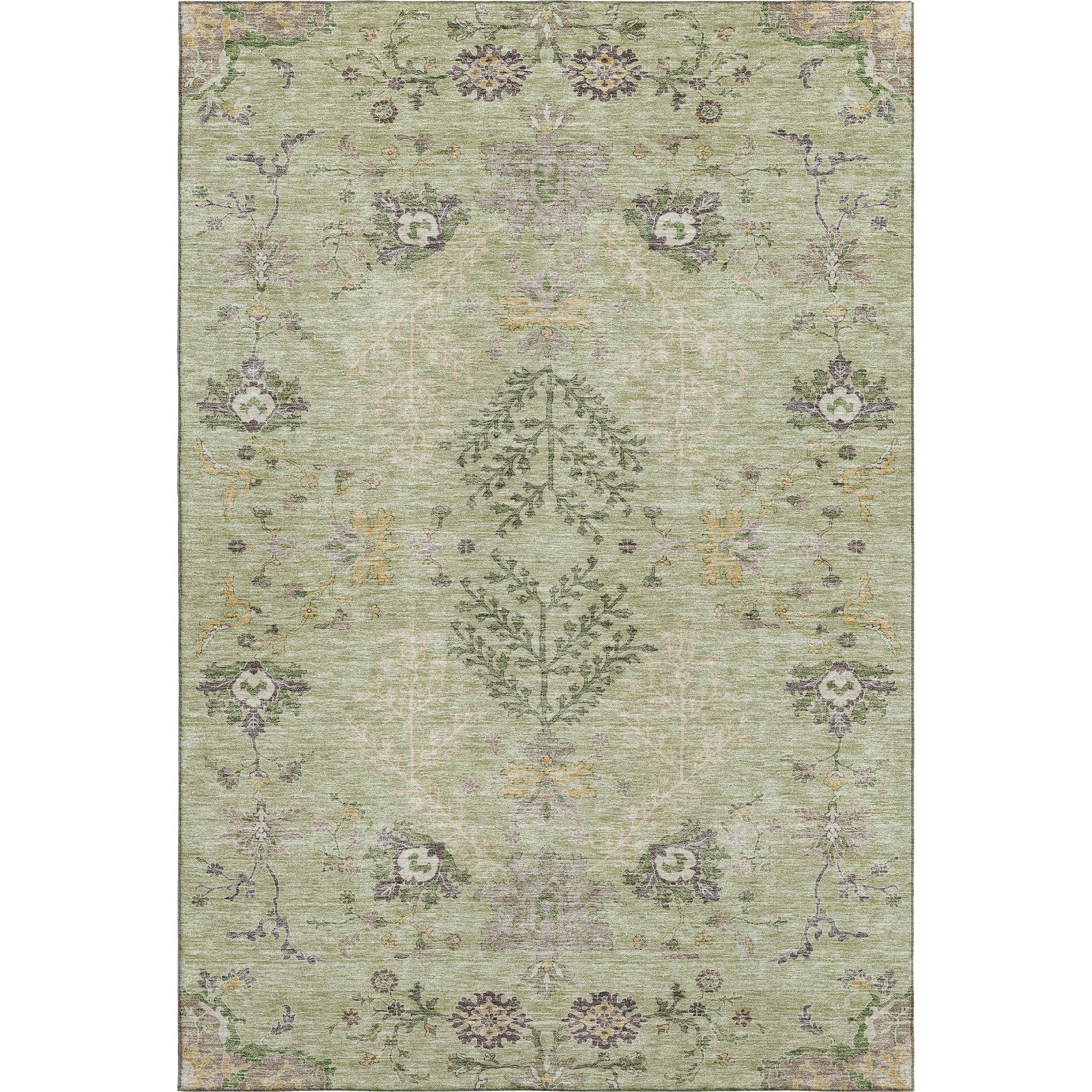 Queenstown Machine Washable Transitional Aloe Green Rug 2'6" x 3'10" #shape_Rectangle