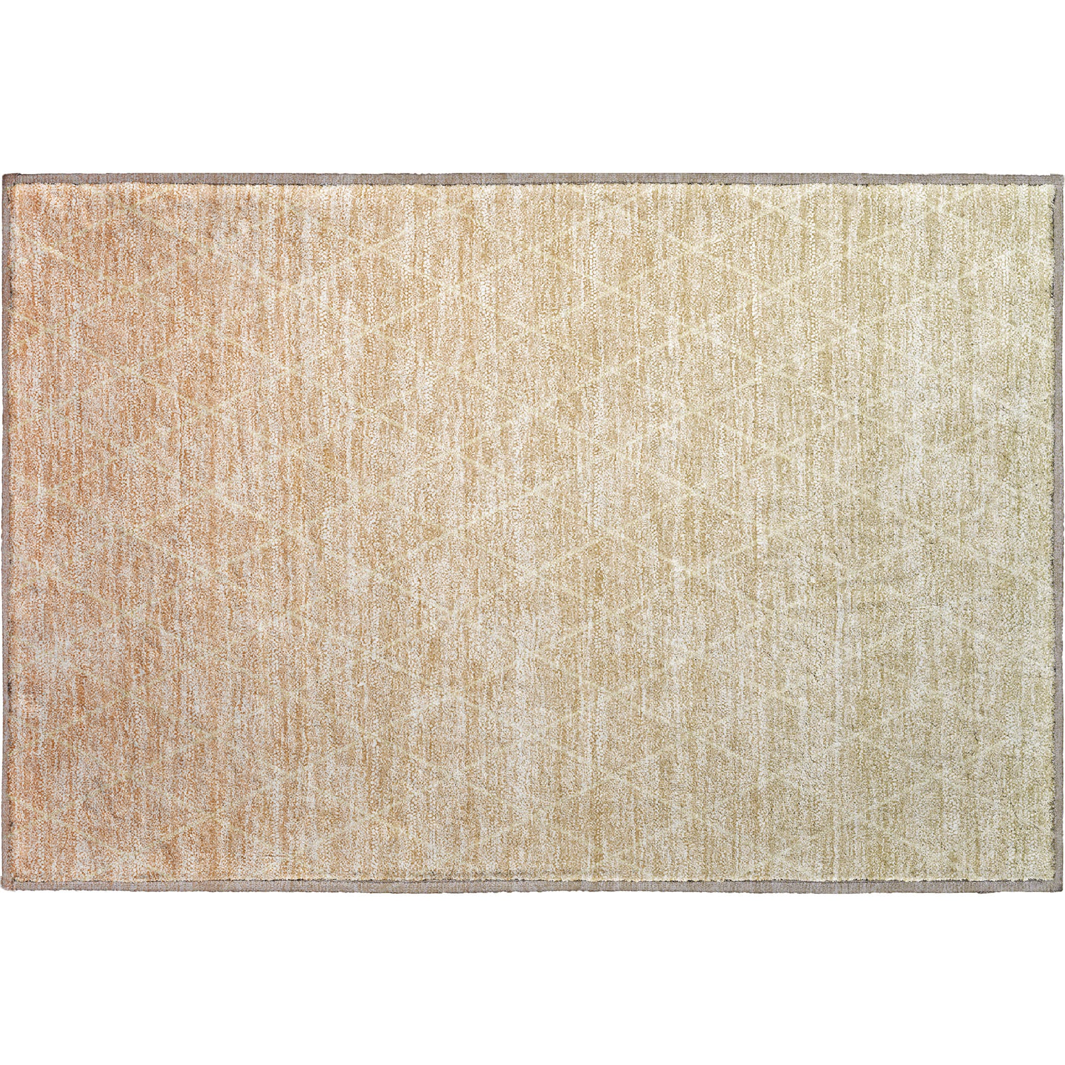 Oaxaca Machine Washable Transitional Salmon Orange Rug 1'8" x 2'6" #shape_Rectangle