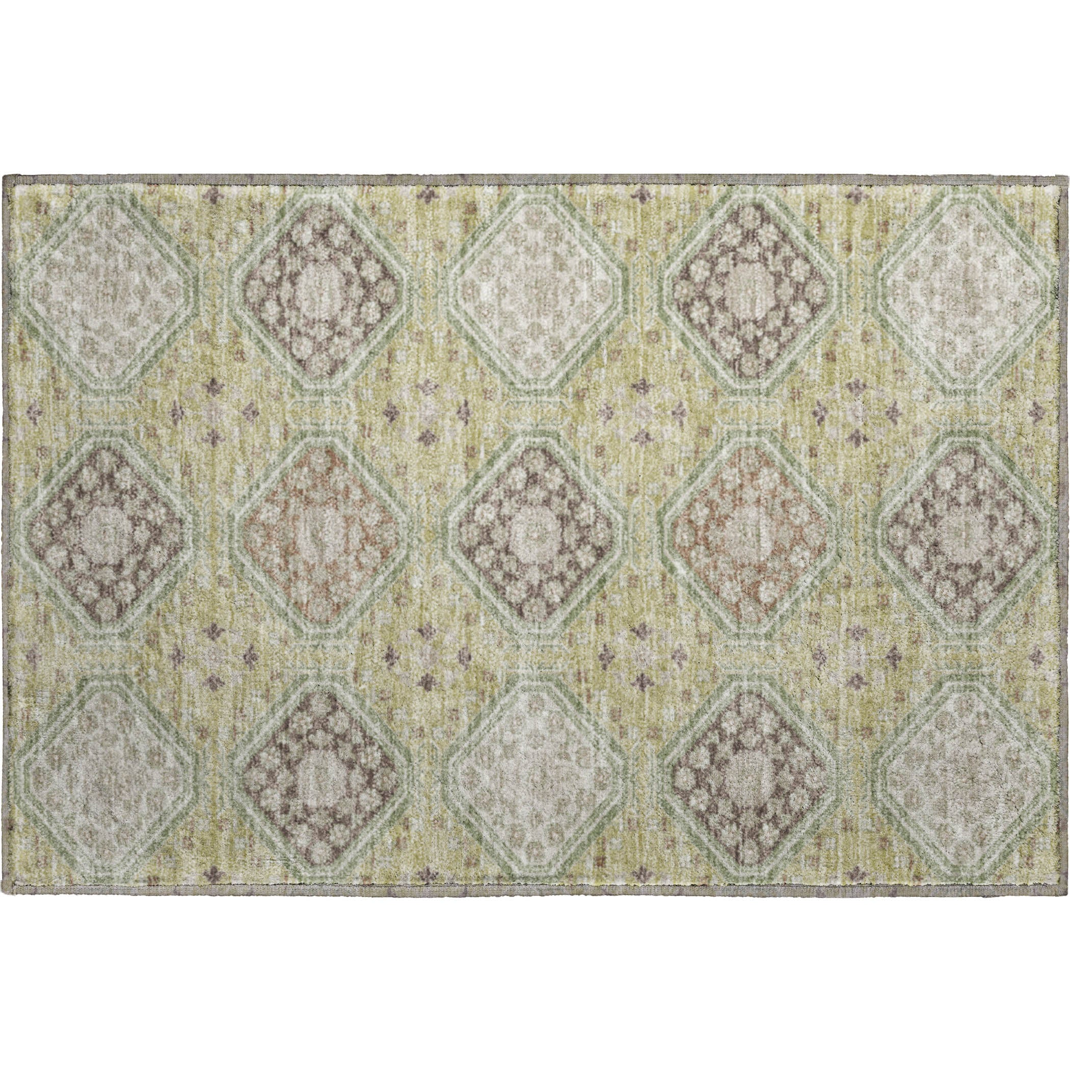 Oaxaca Machine Washable Transitional Aloe Green Rug 1'8" x 2'6" #shape_Rectangle