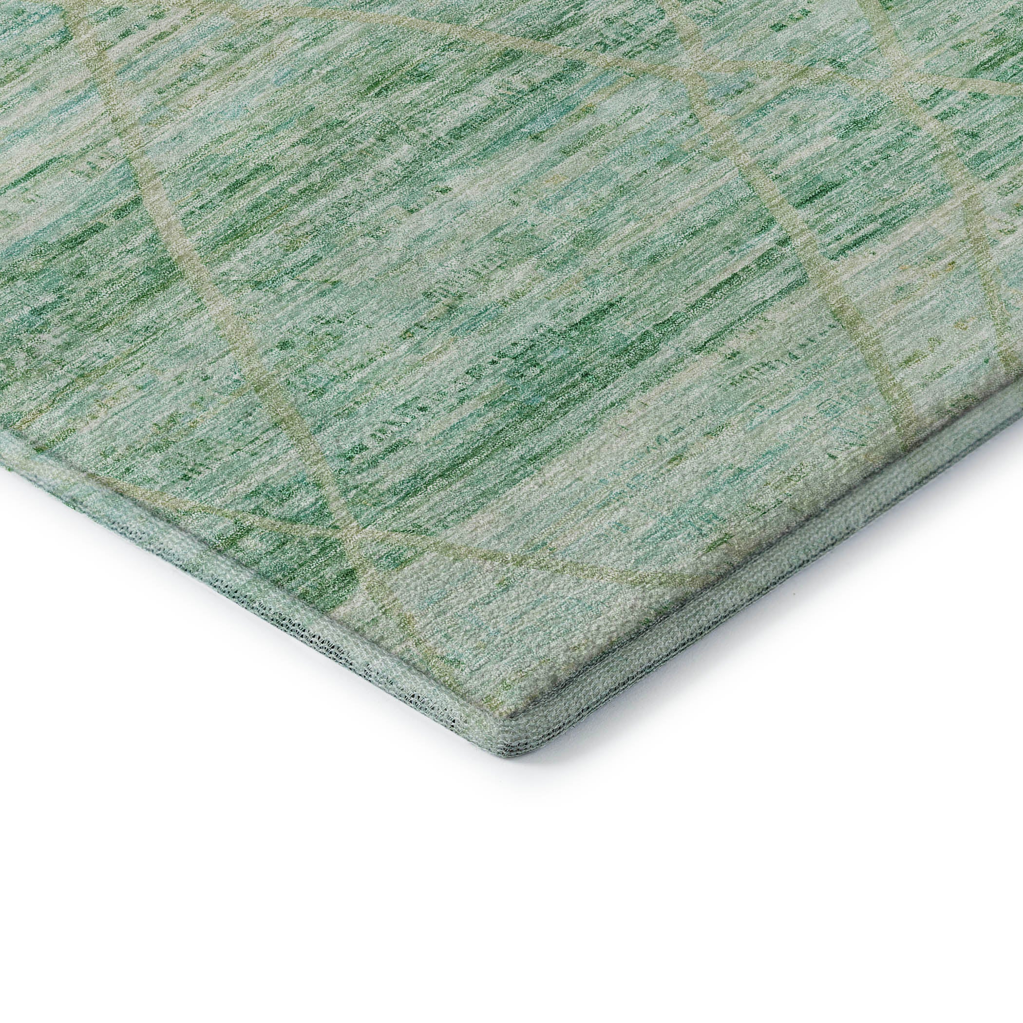 Nairobi Machine Washable Transitional Aloe Green Rug 1'8" x 2'6" #shape_Rectangle