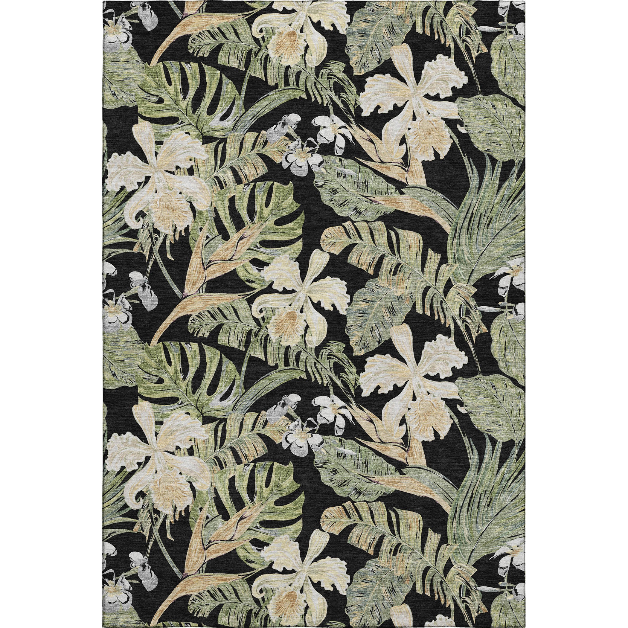 Dubrovnik Machine Washable Transitional Black Rug 2'6" x 3'10" #shape_Rectangle