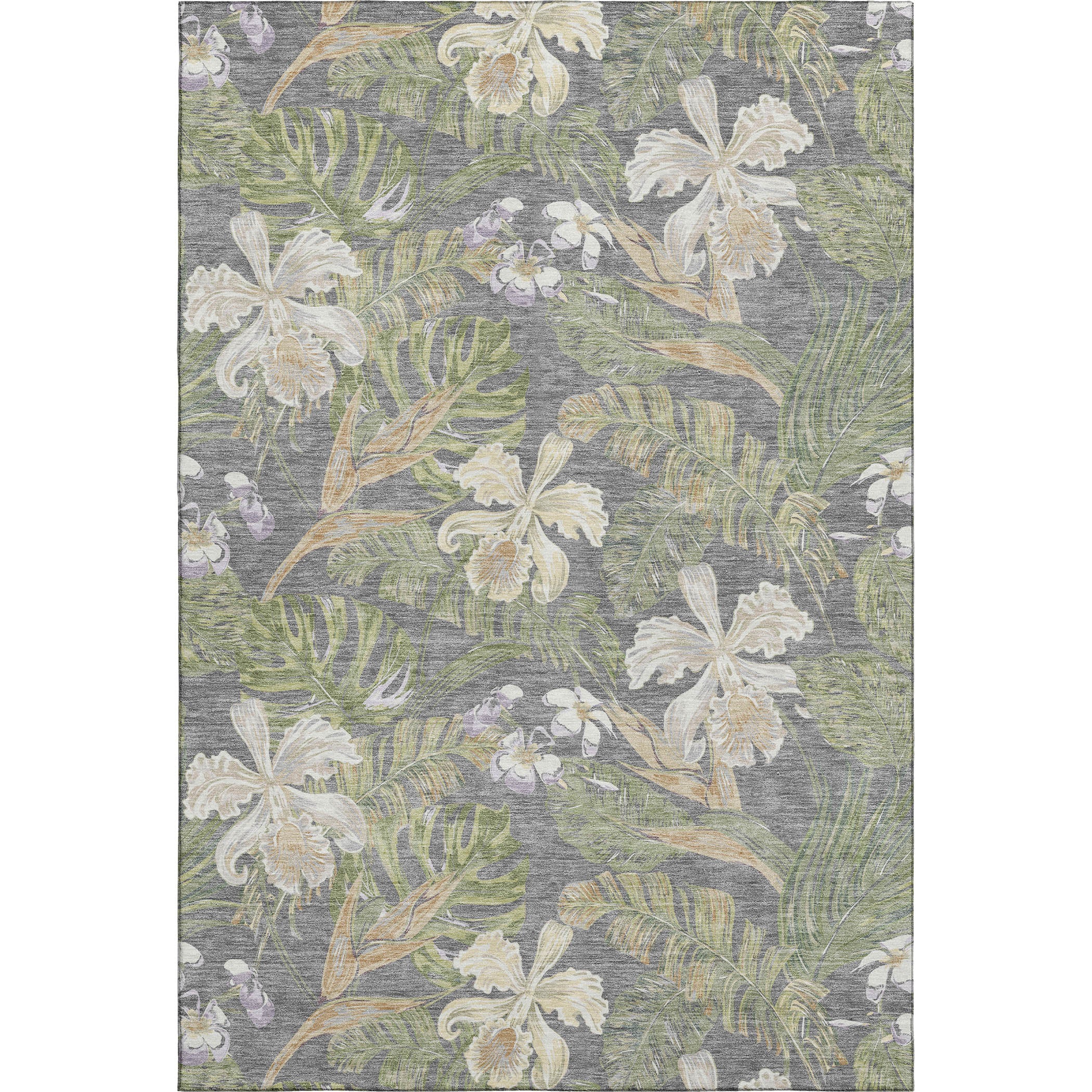 Dubrovnik Machine Washable Transitional Gray Rug 2'6" x 3'10" #shape_Rectangle