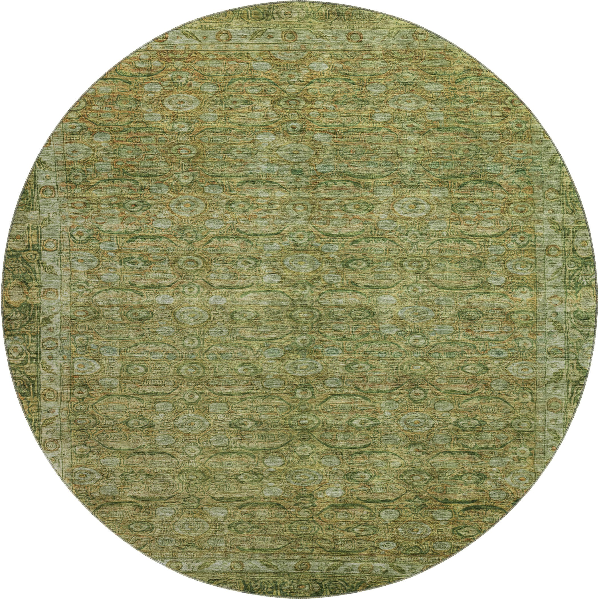 Salzburg Machine Washable Traditional Aloe Green Rug 8' x 8' #shape_Round