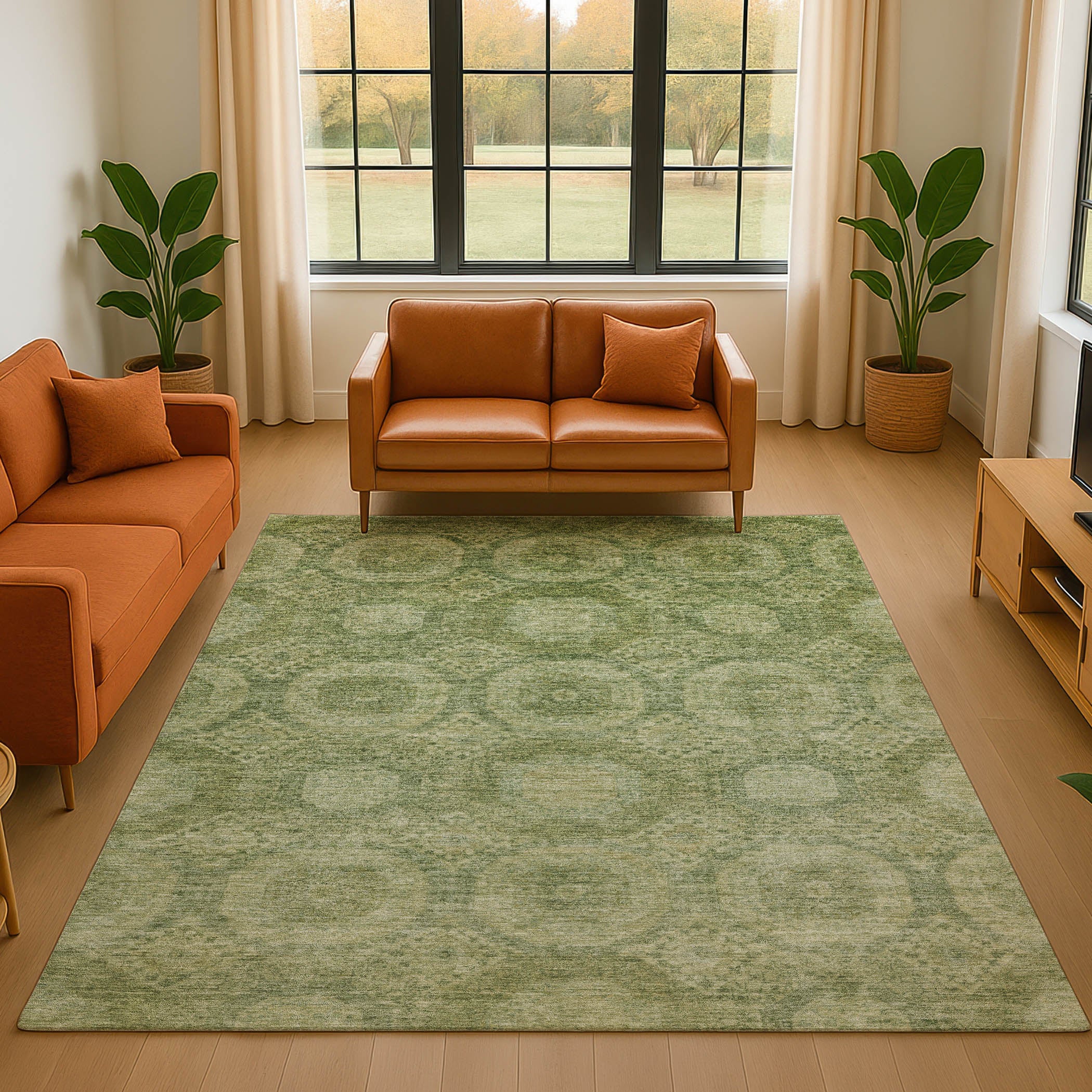 Sarajevo Machine Washable Transitional Aloe Green Rug 2'6" x 3'10" #shape_Rectangle