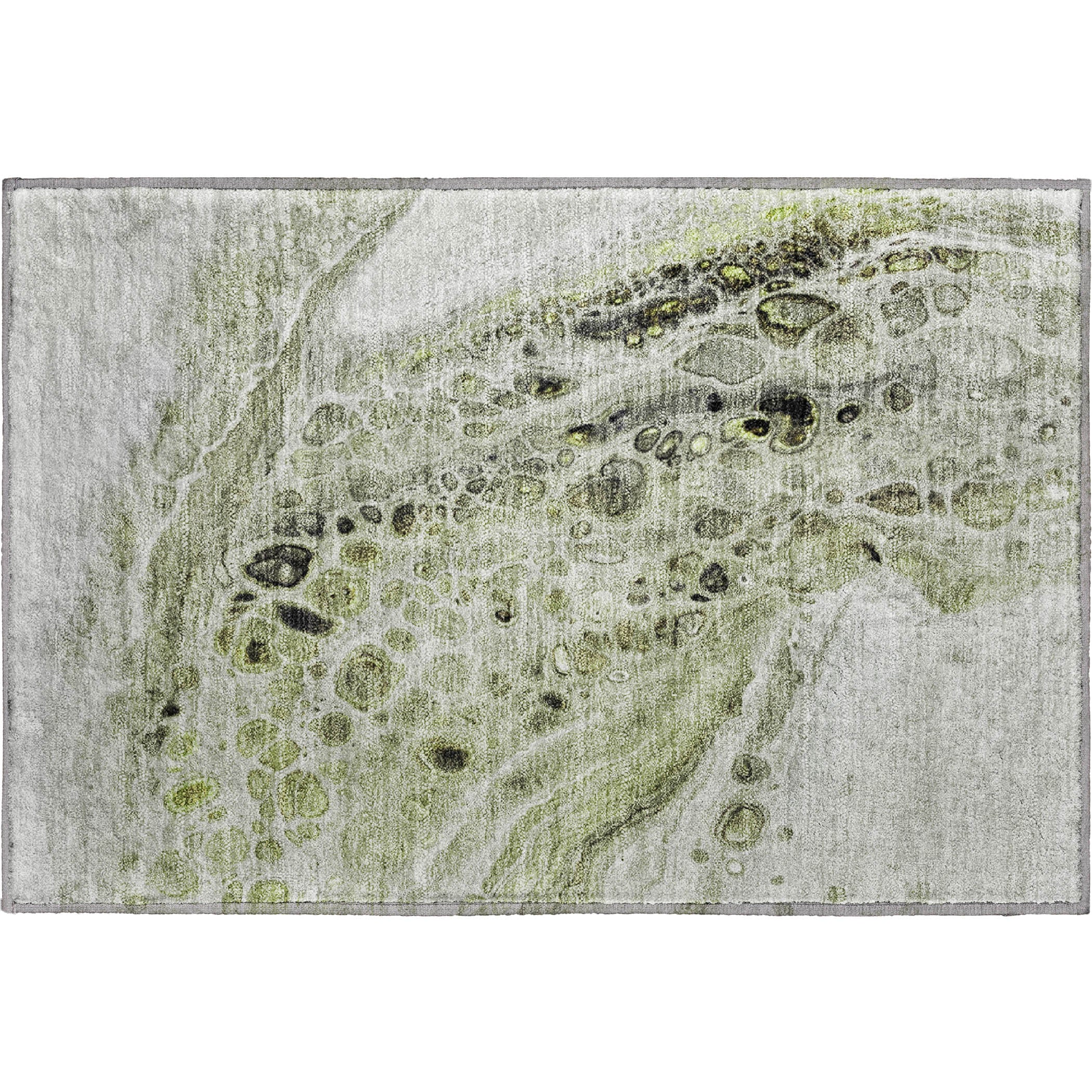 Lisbon Machine Washable Transitional Aloe Green Rug 1'8" x 2'6" #shape_Rectangle