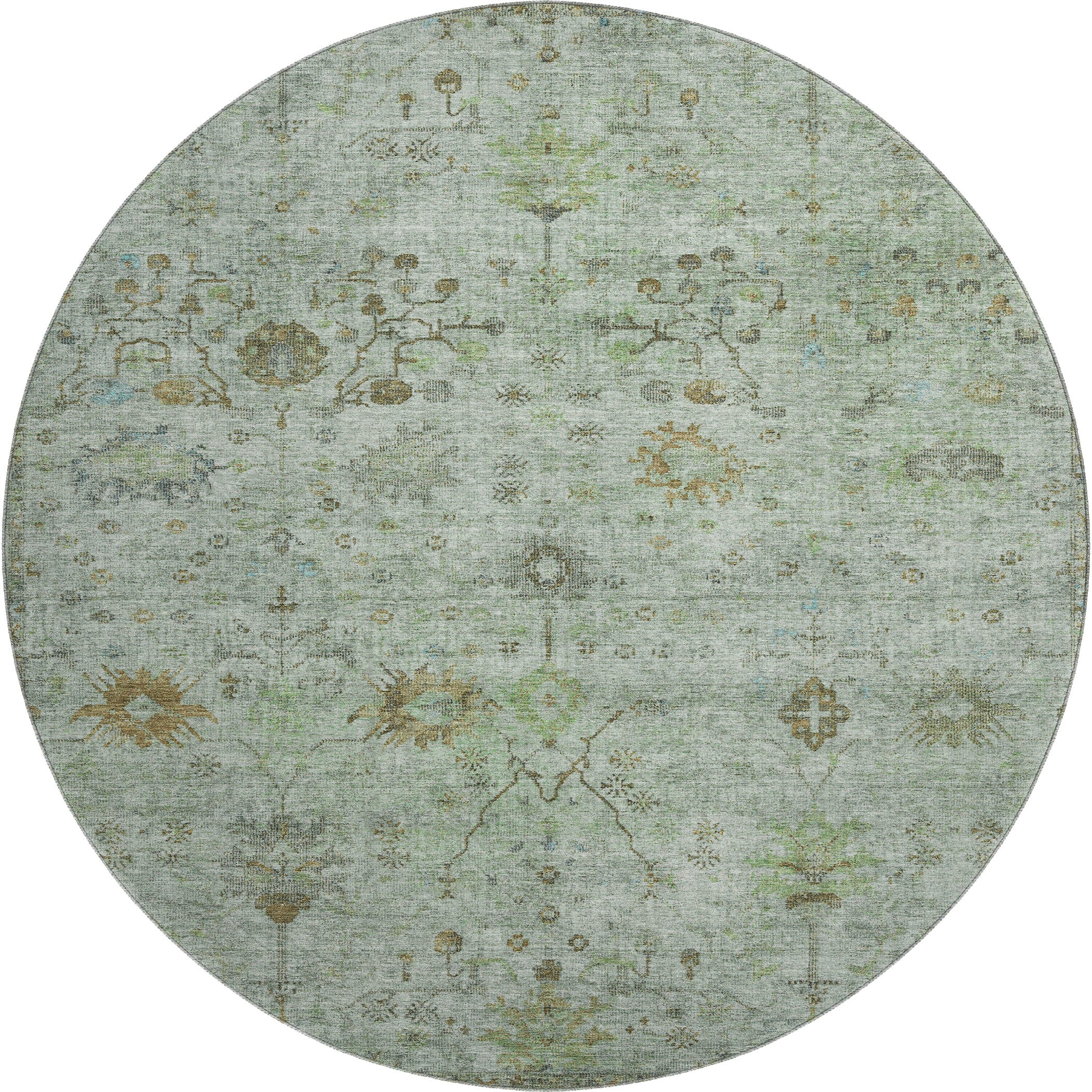 Kotor Machine Washable Traditional Aloe Green Rug 8' x 8' #shape_Round