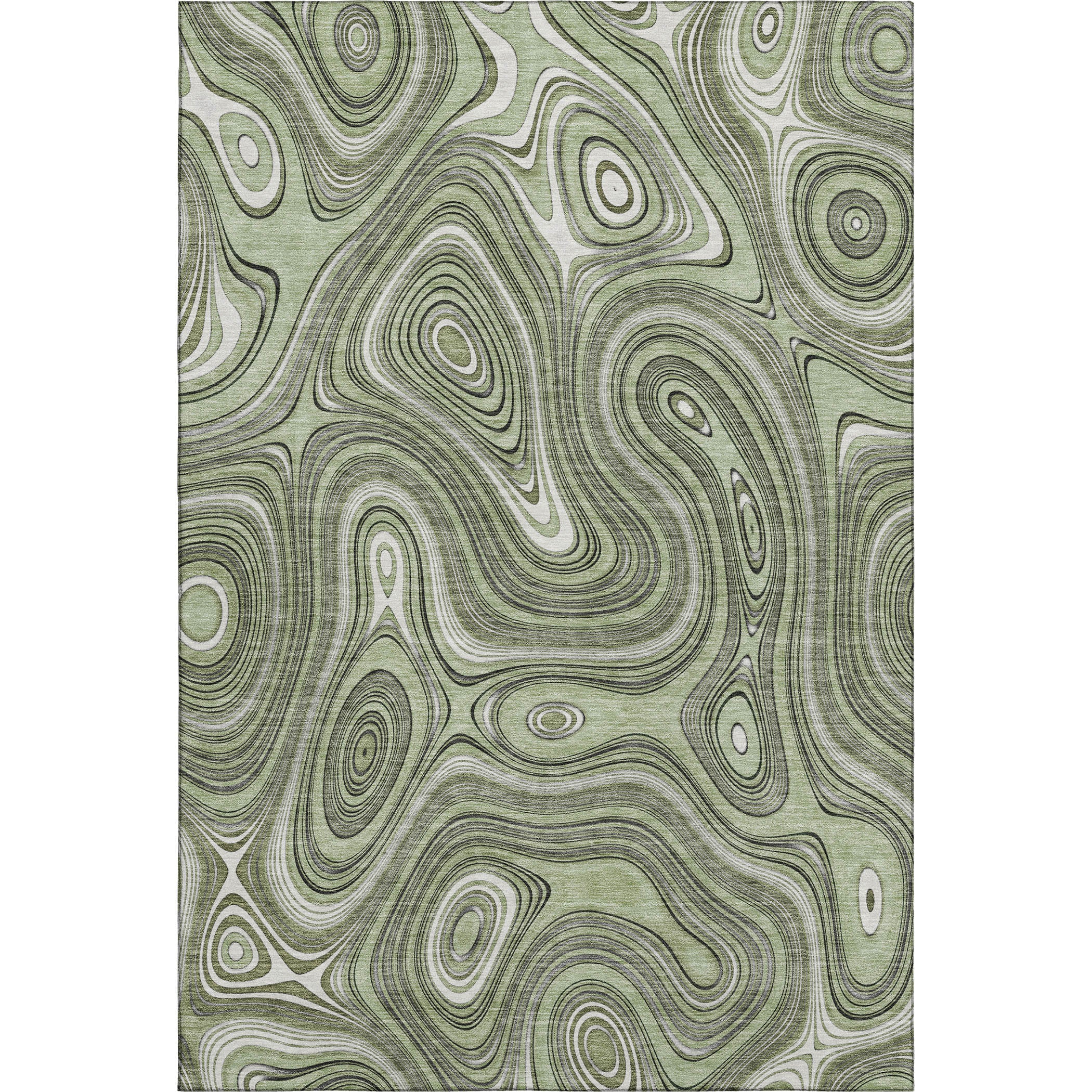 Istanbul Machine Washable Transitional Aloe Green Rug 2'6" x 3'10" #shape_Rectangle