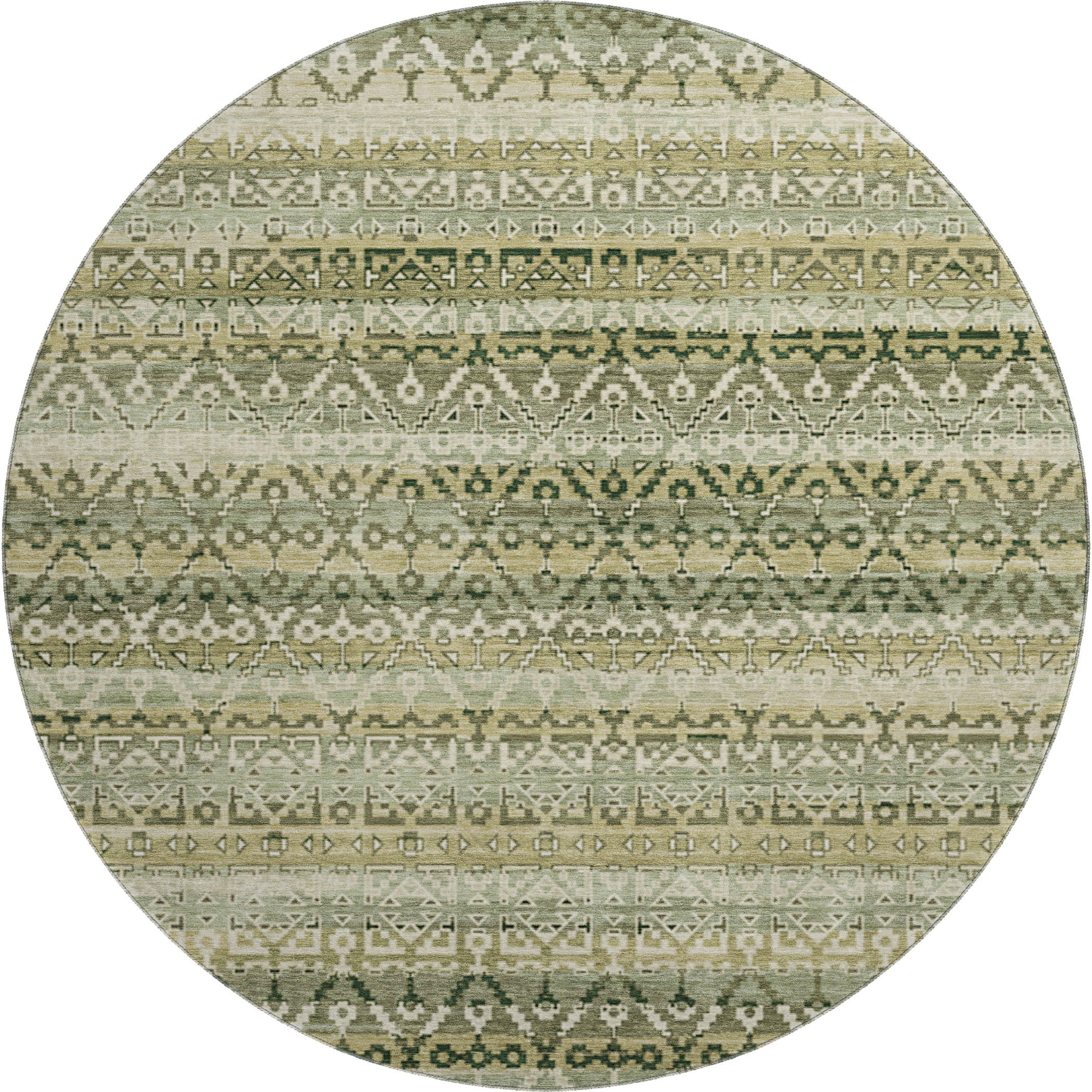 Kotor Machine Washable Transitional Green Rug 8' x 8' #shape_Round