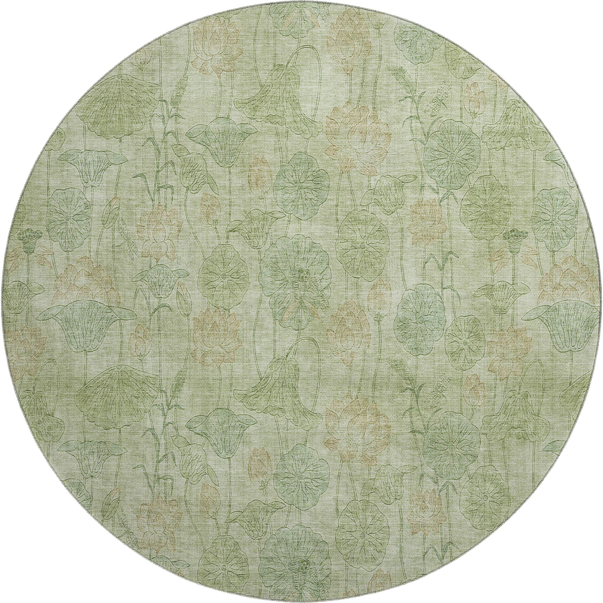 Sintra Machine Washable Transitional Sage Green Rug 8' x 8' #shape_Round