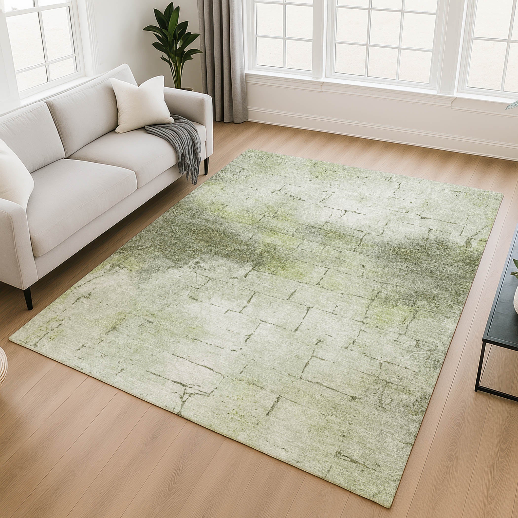 Queenstown Machine Washable Transitional Aloe Green Rug 2'6" x 3'10" #shape_Rectangle