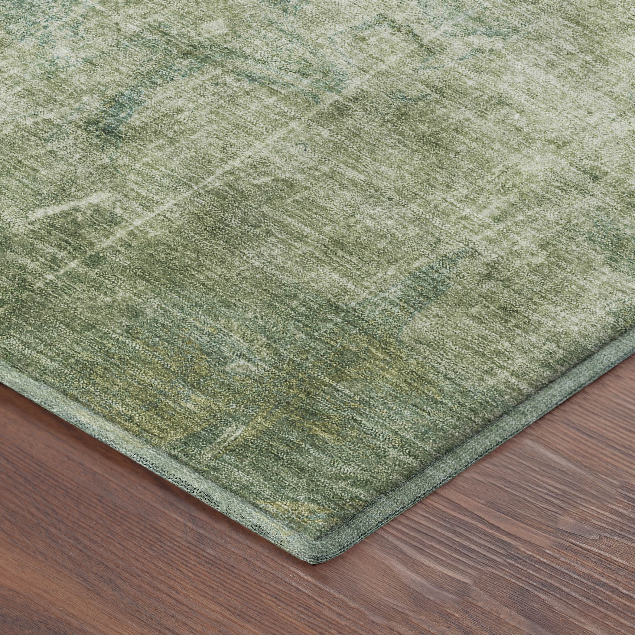 Oaxaca Machine Washable Transitional Aloe Green Rug 1'8" x 2'6" #shape_Rectangle