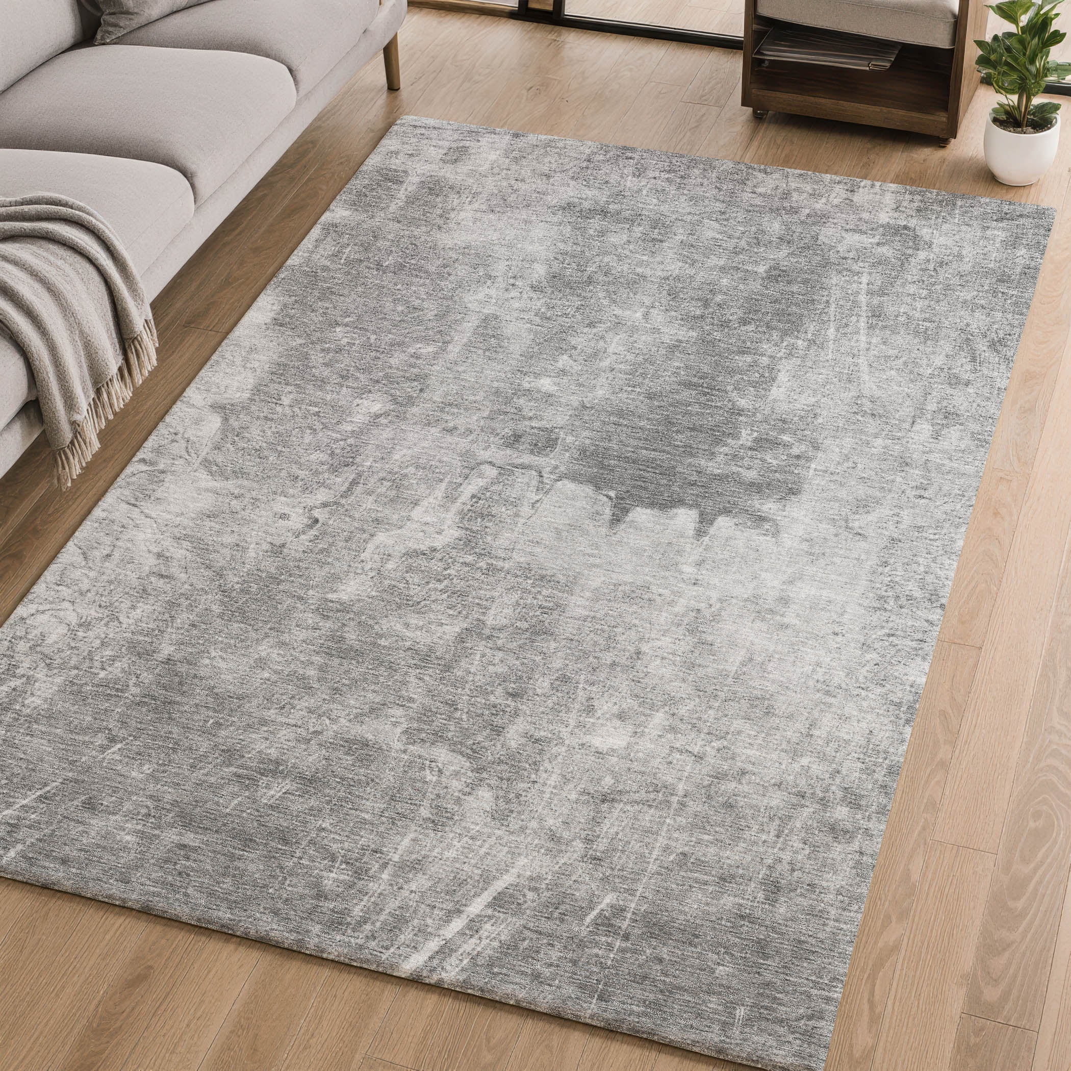 Oaxaca Machine Washable Transitional Gray Rug 2'6" x 3'10" #shape_Rectangle