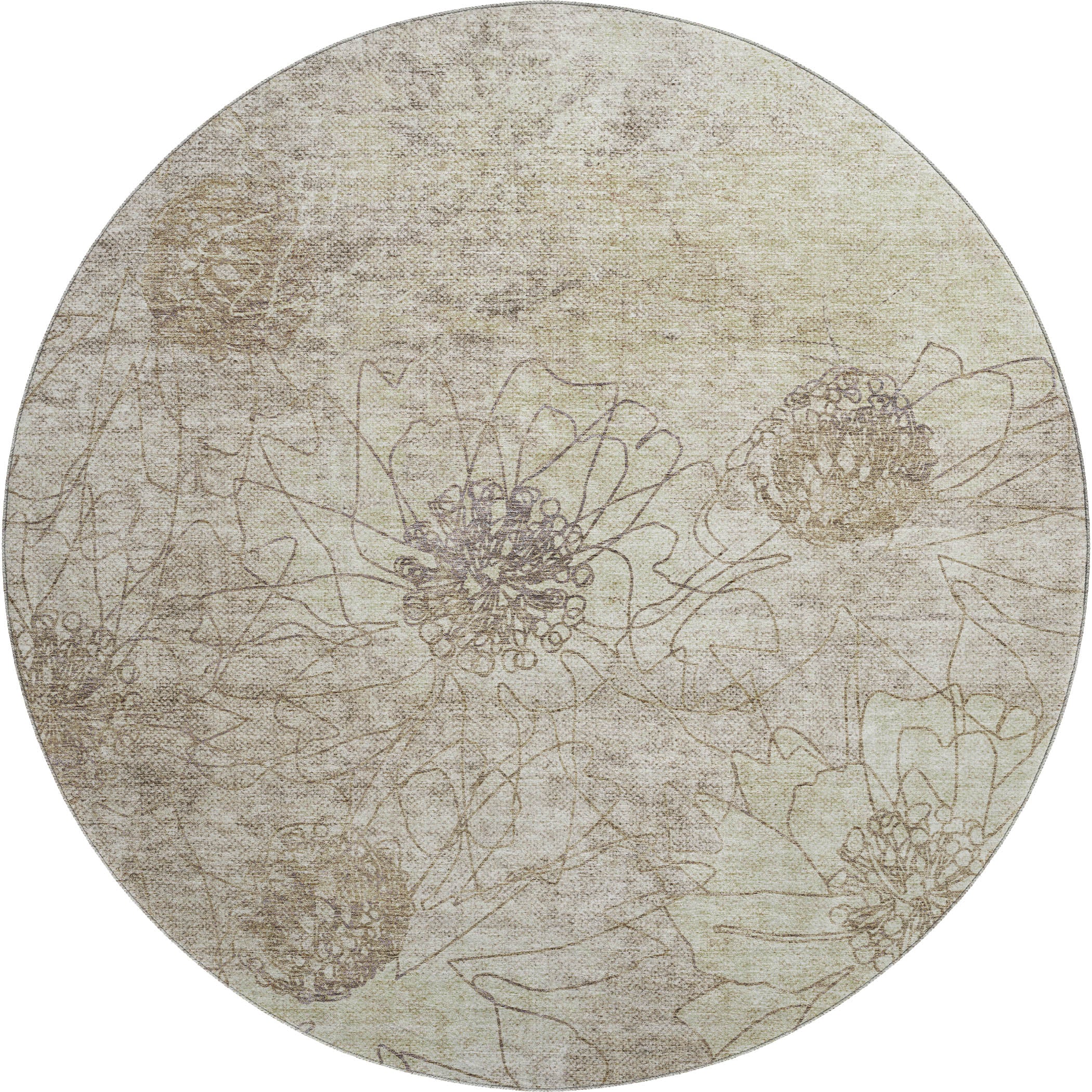 Oaxaca Machine Washable Transitional Brown Rug 8' x 8' #shape_Round