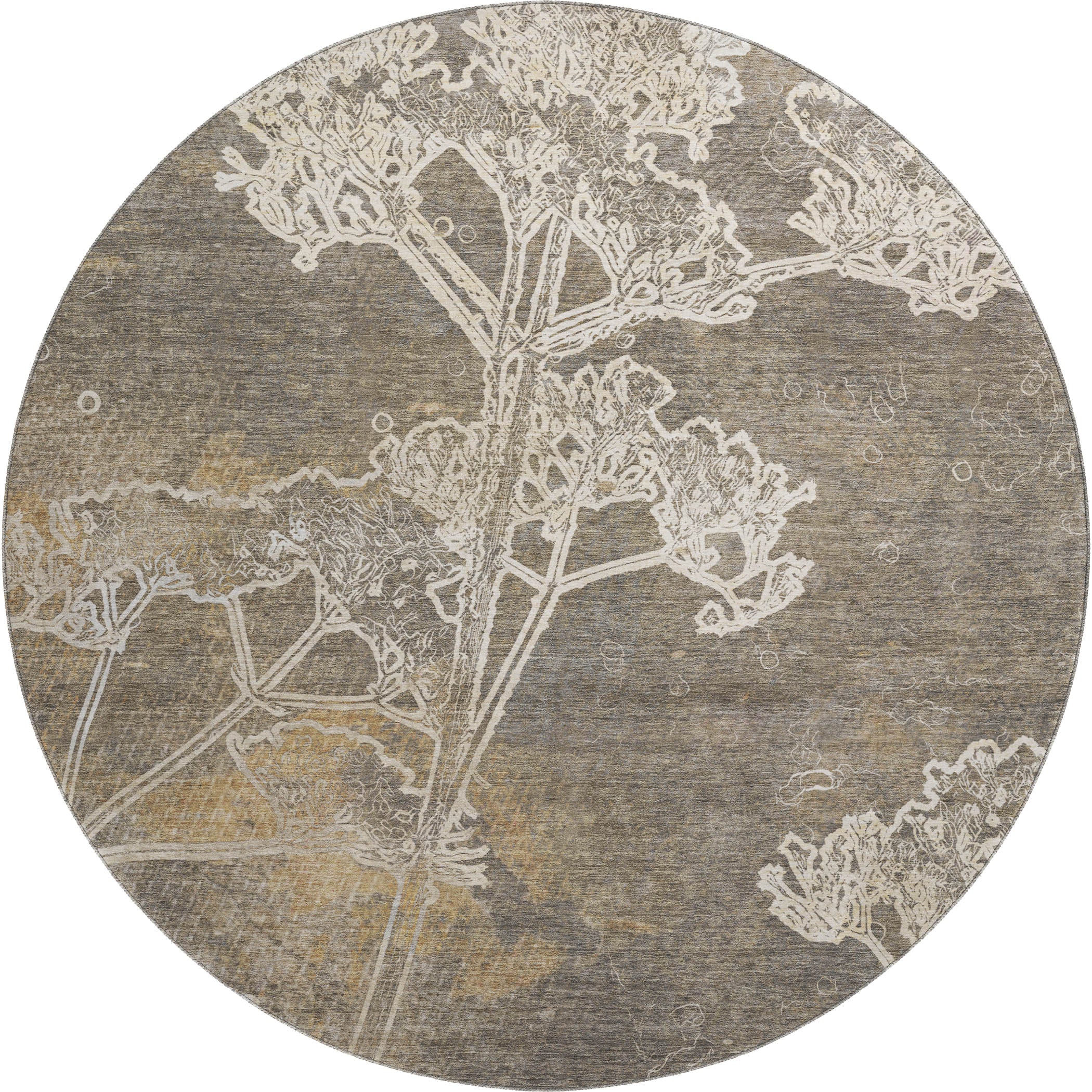 Salzburg Machine Washable Transitional Khaki Brown Rug 8' x 8' #shape_Round