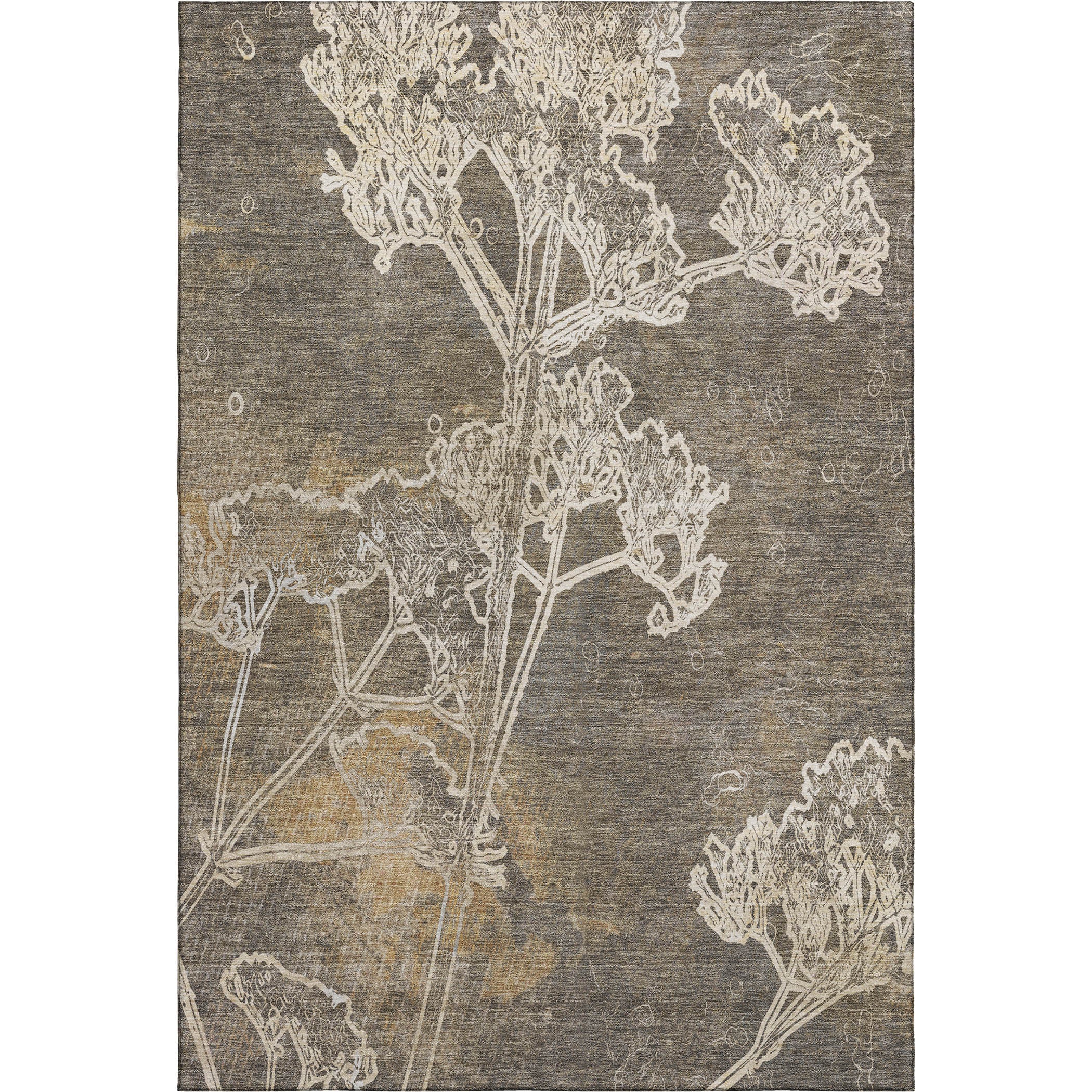 Salzburg Machine Washable Transitional Khaki Brown Rug 2'6" x 3'10" #shape_Rectangle