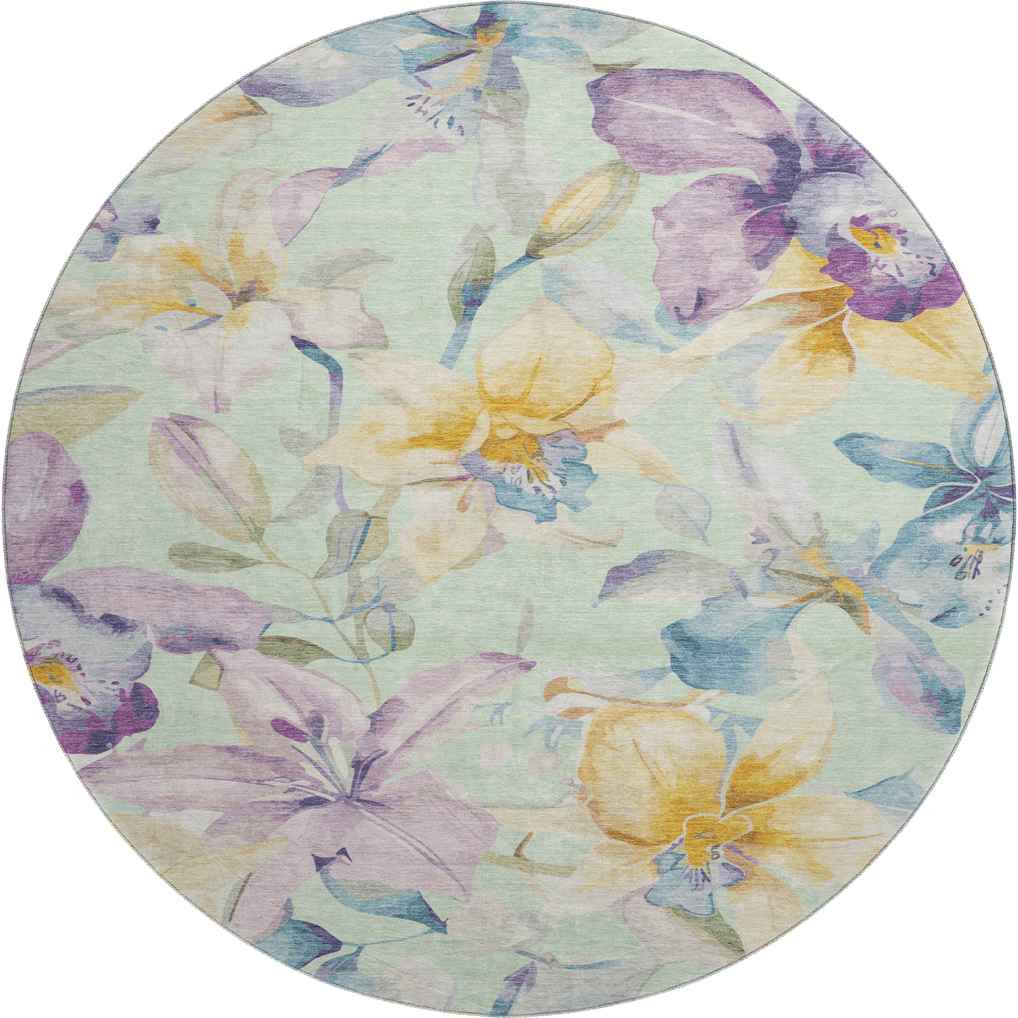 Lima Machine Washable Transitional Mint Green Rug 8' x 8' #shape_Round