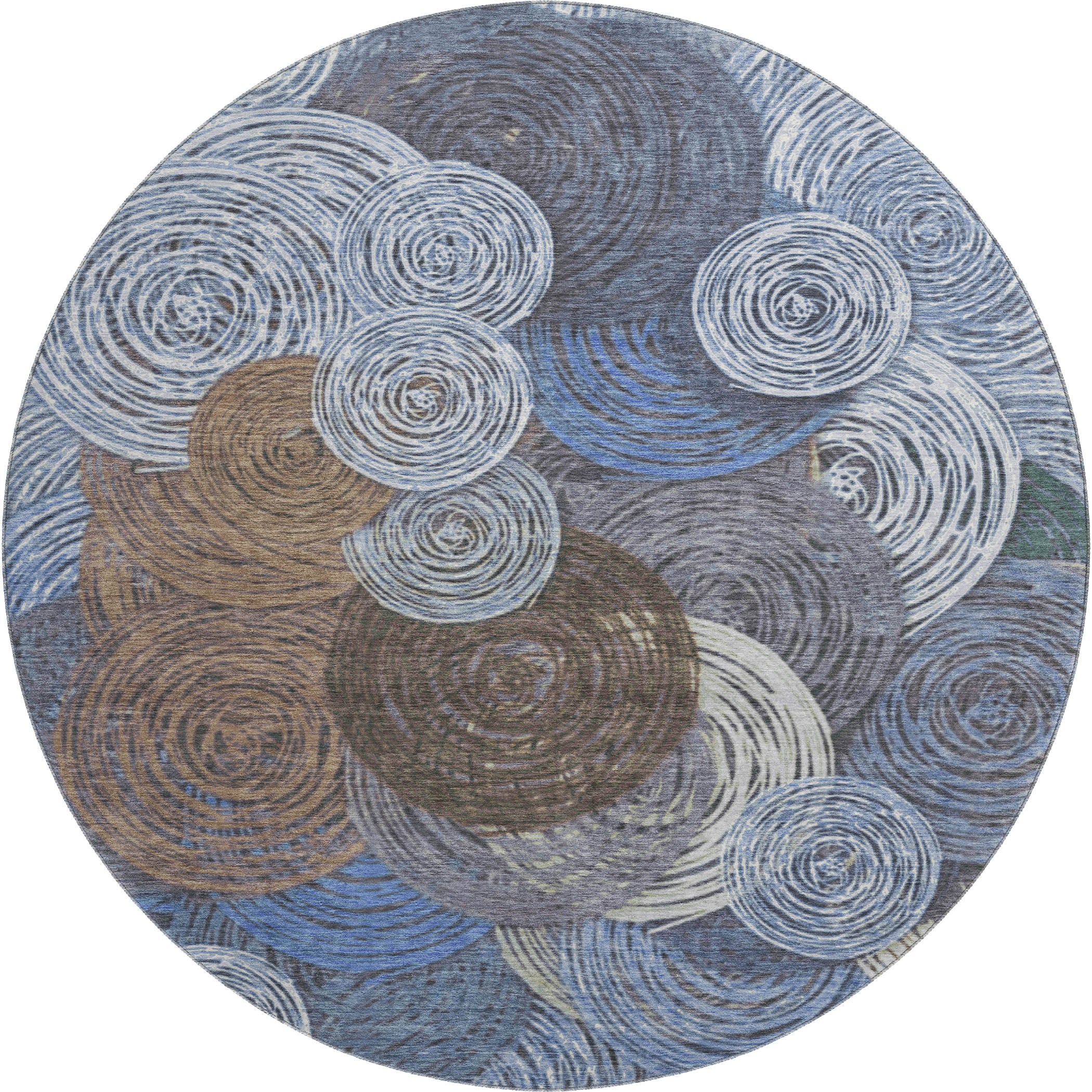 Sarajevo Machine Washable Transitional Blue Rug 8' x 8' #shape_Round