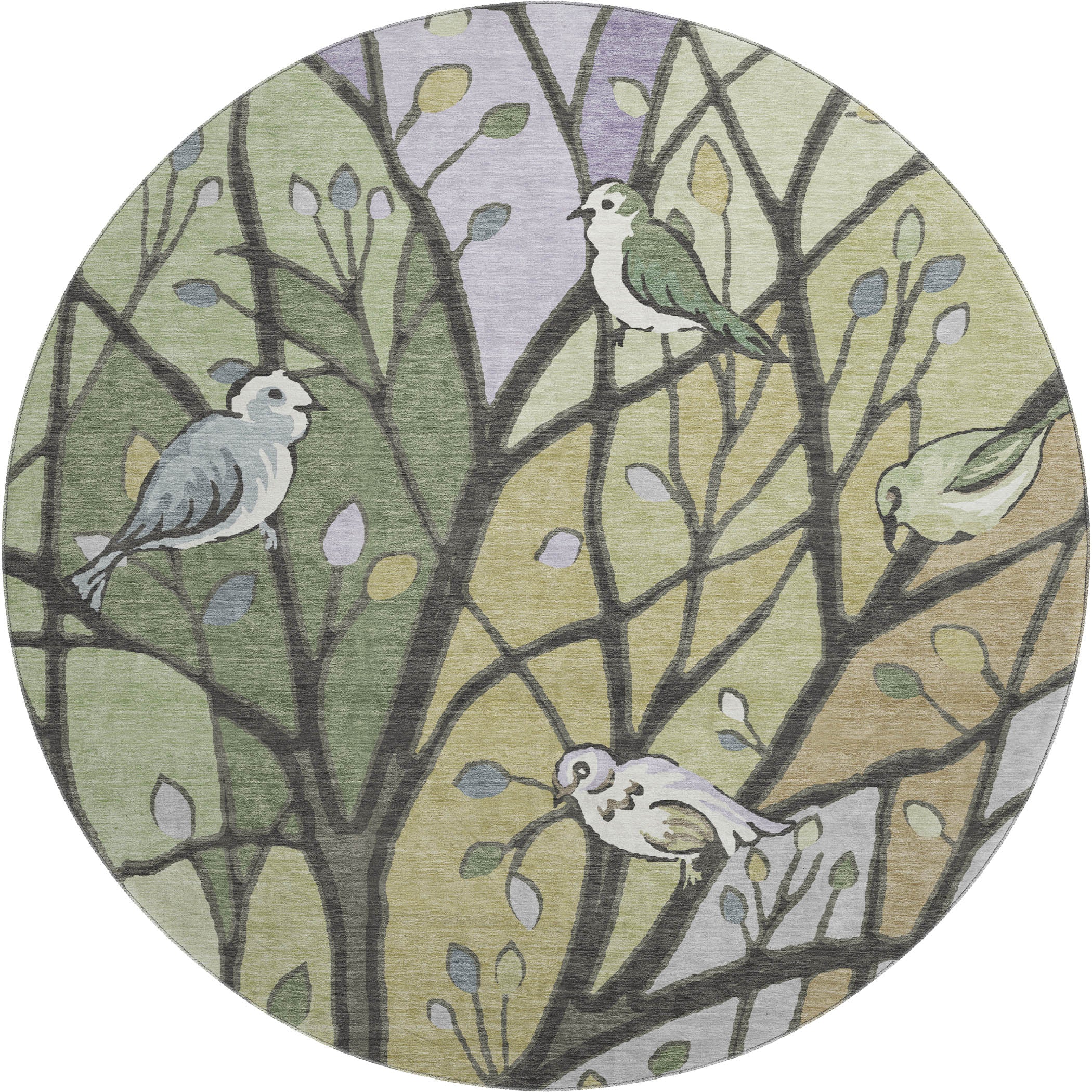 Sintra Machine Washable Transitional Aloe Green Rug 8' x 8' #shape_Round