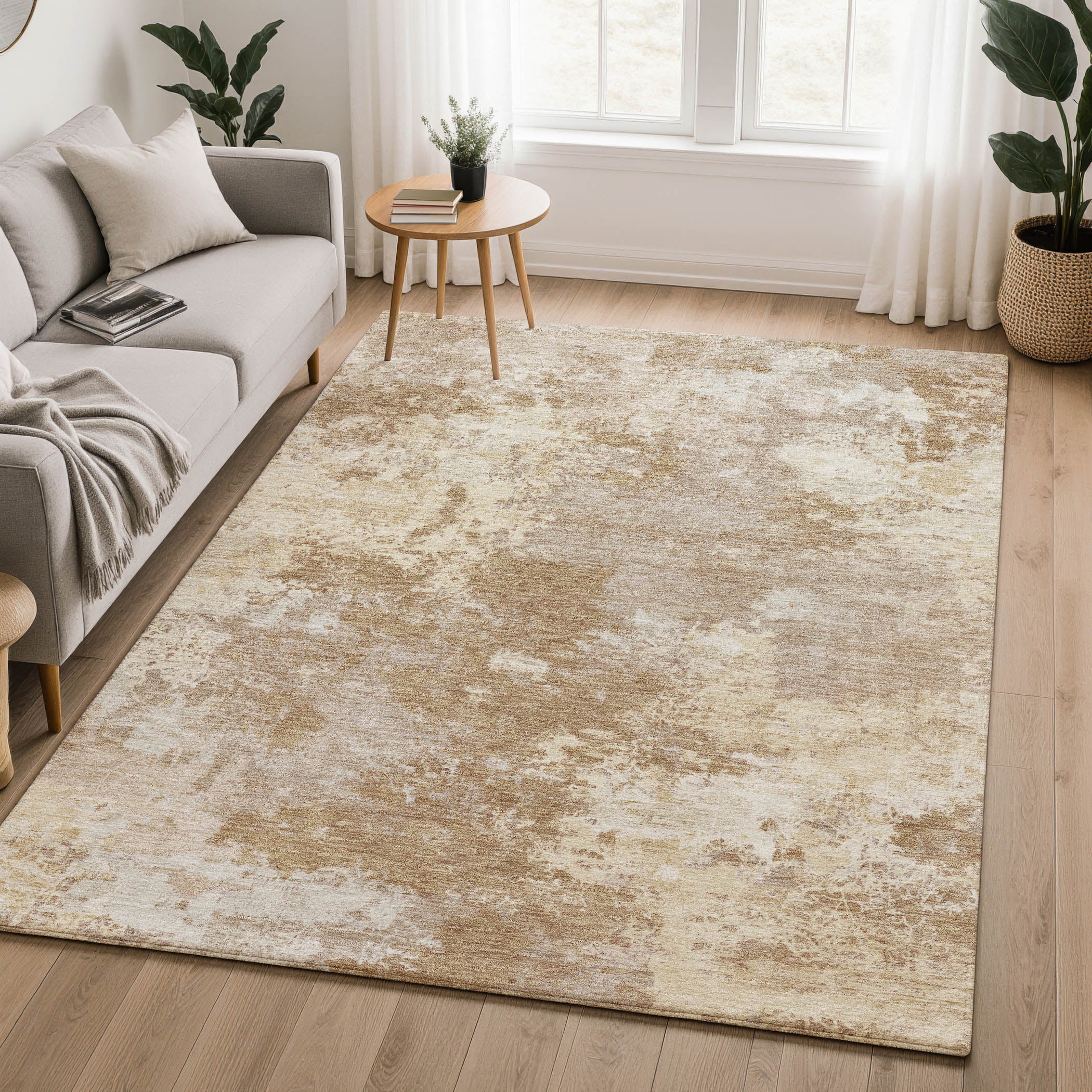 Tbilisi Machine Washable Transitional Brown Rug 3' x 5' #shape_Rectangle