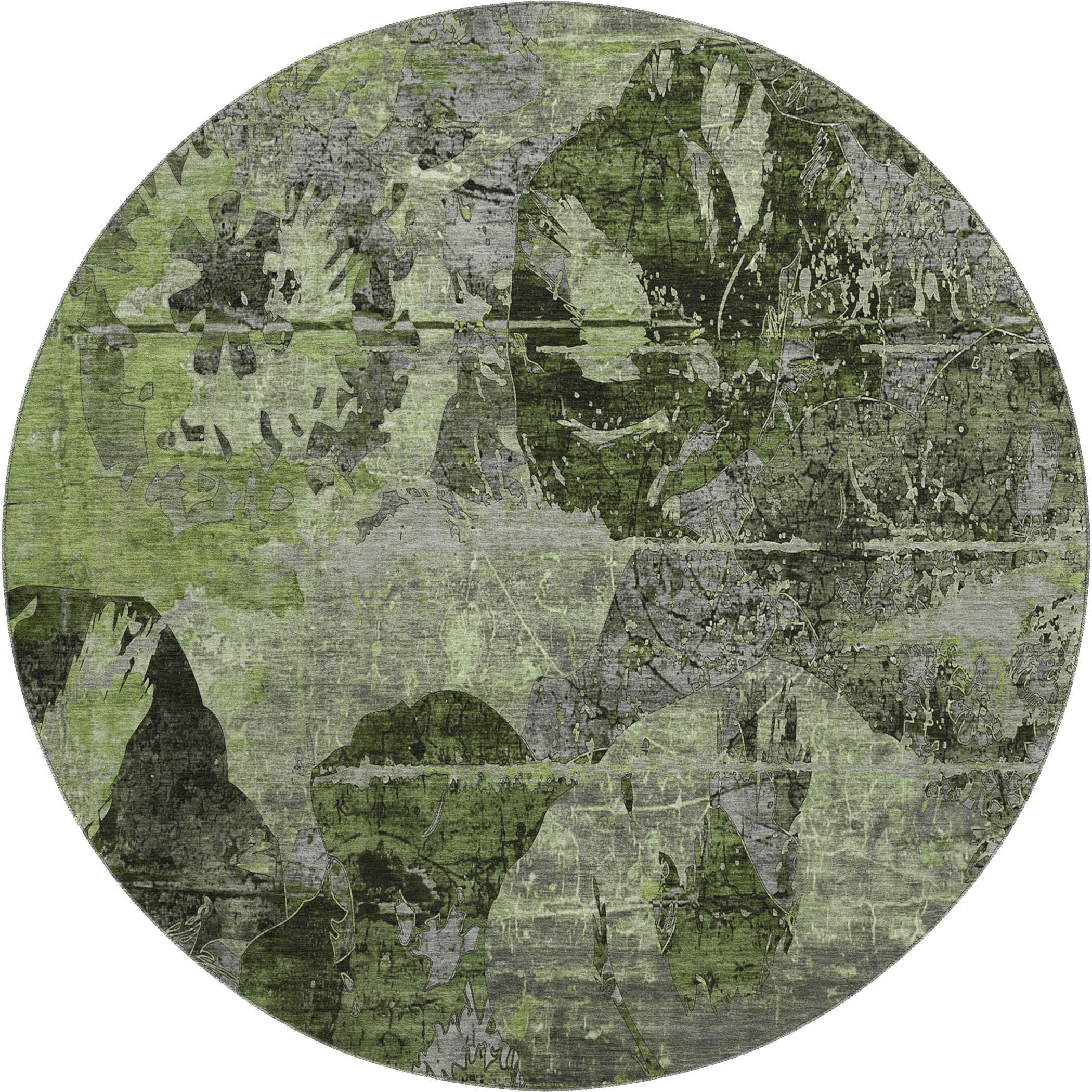 Dublin Machine Washable Transitional Green Rug 8' x 8' #shape_Round