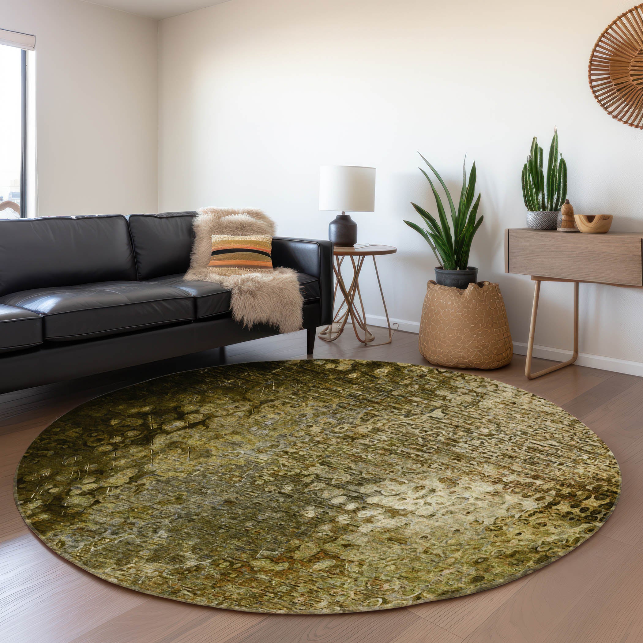 Kotor Machine Washable Transitional Brown Rug 8' x 8' #shape_Round