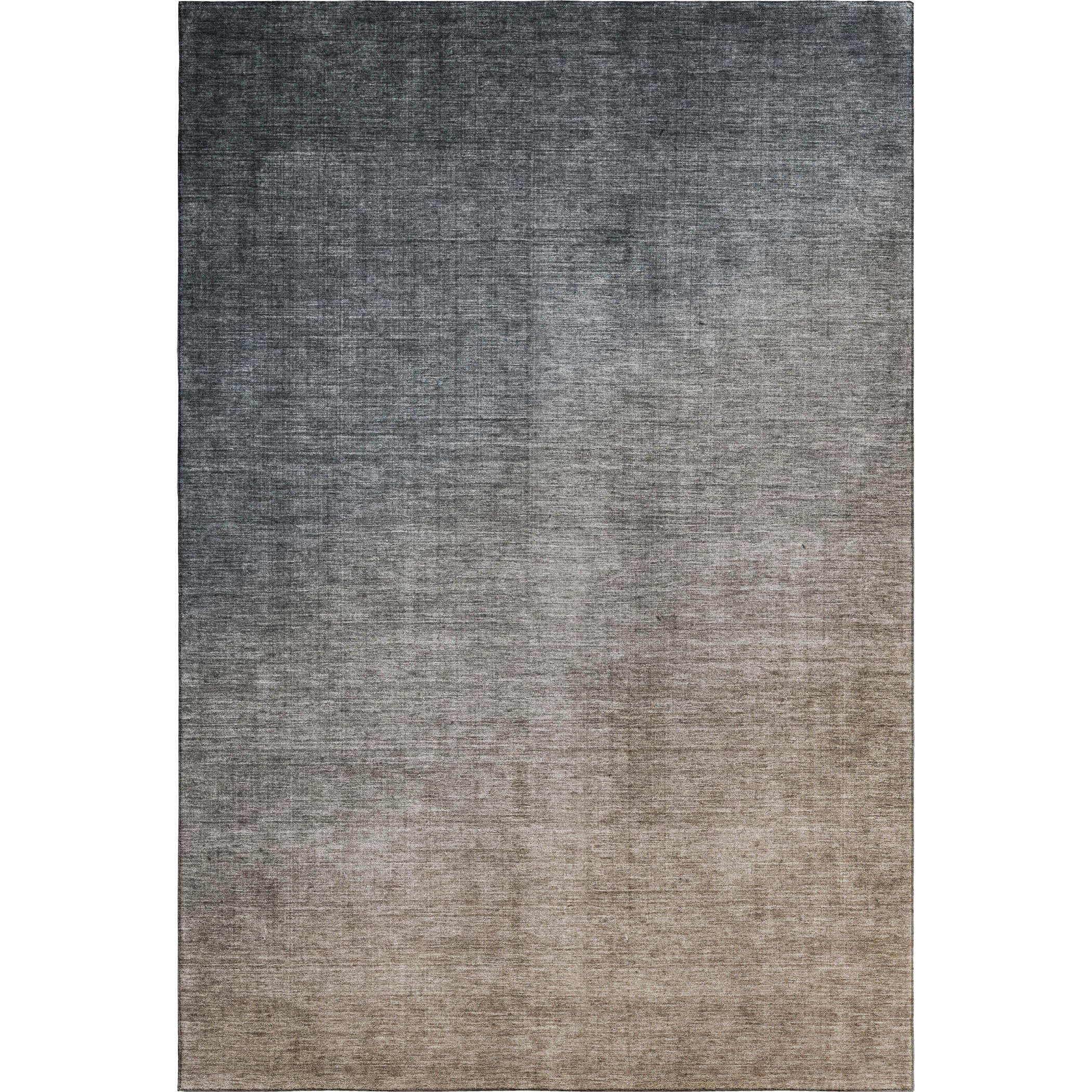 Jaipur Machine Washable Transitional Gray Rug 2'6" x 3'10" #shape_Rectangle