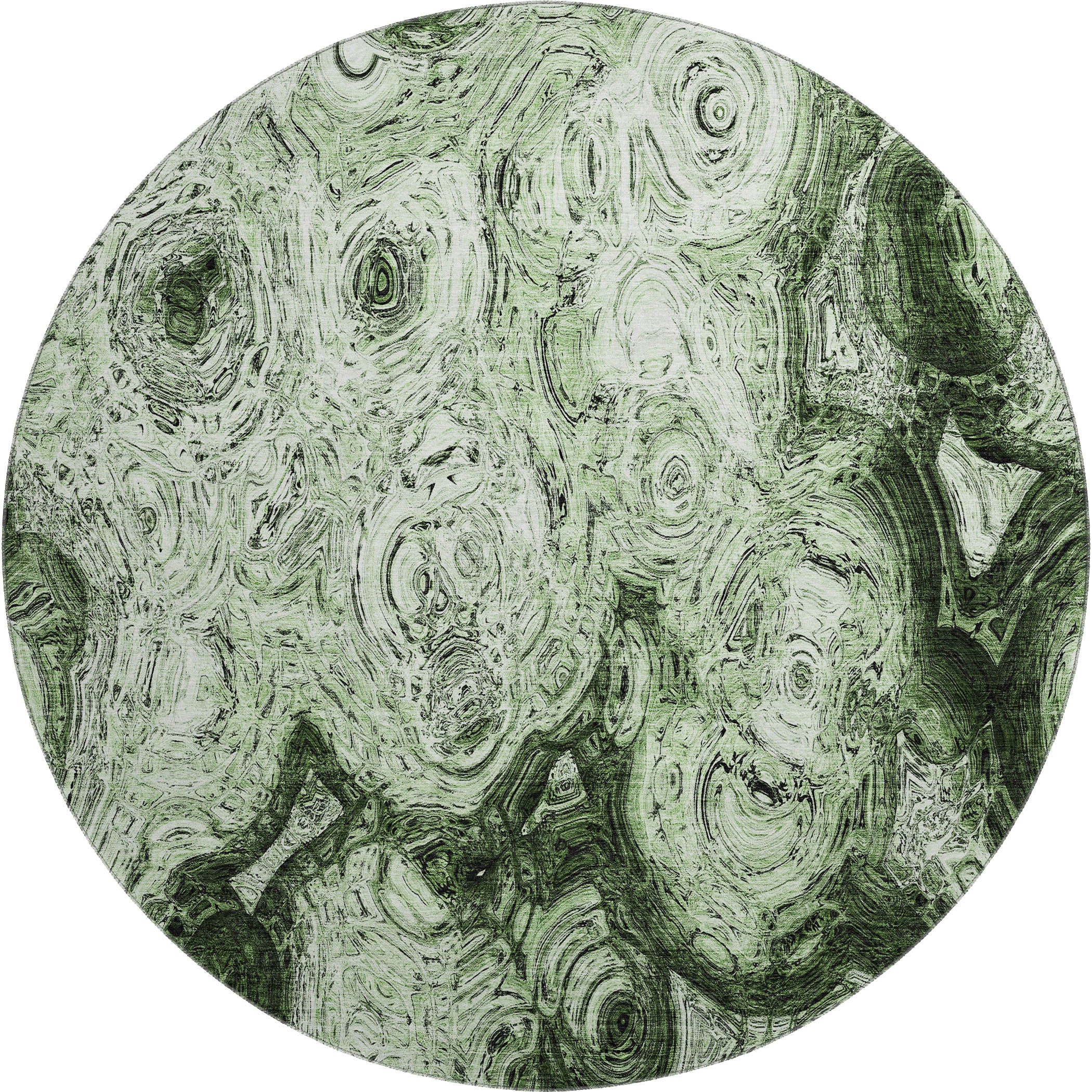 Cartagena Machine Washable Transitional Green Rug 8' x 8' #shape_Round