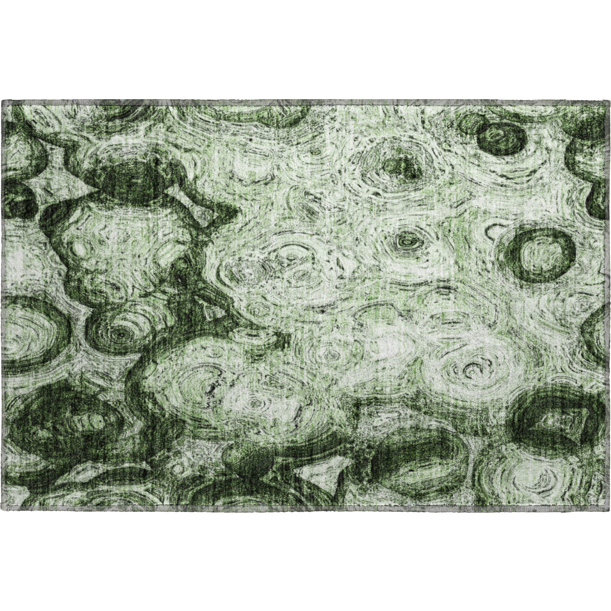 Cartagena Machine Washable Transitional Green Rug 1'8" x 2'6" #shape_Rectangle