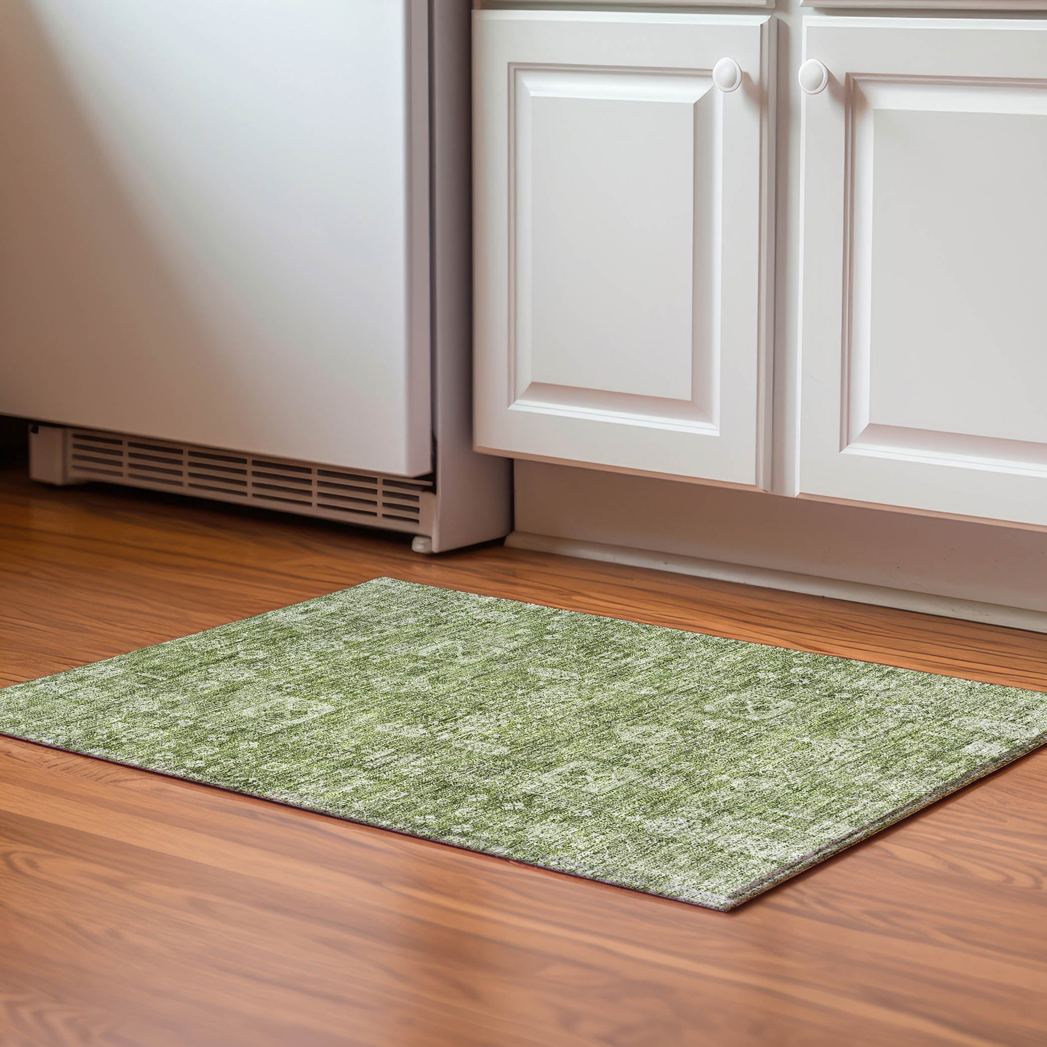 Sintra Machine Washable Transitional Aloe Green Rug 1'8" x 2'6" #shape_Rectangle