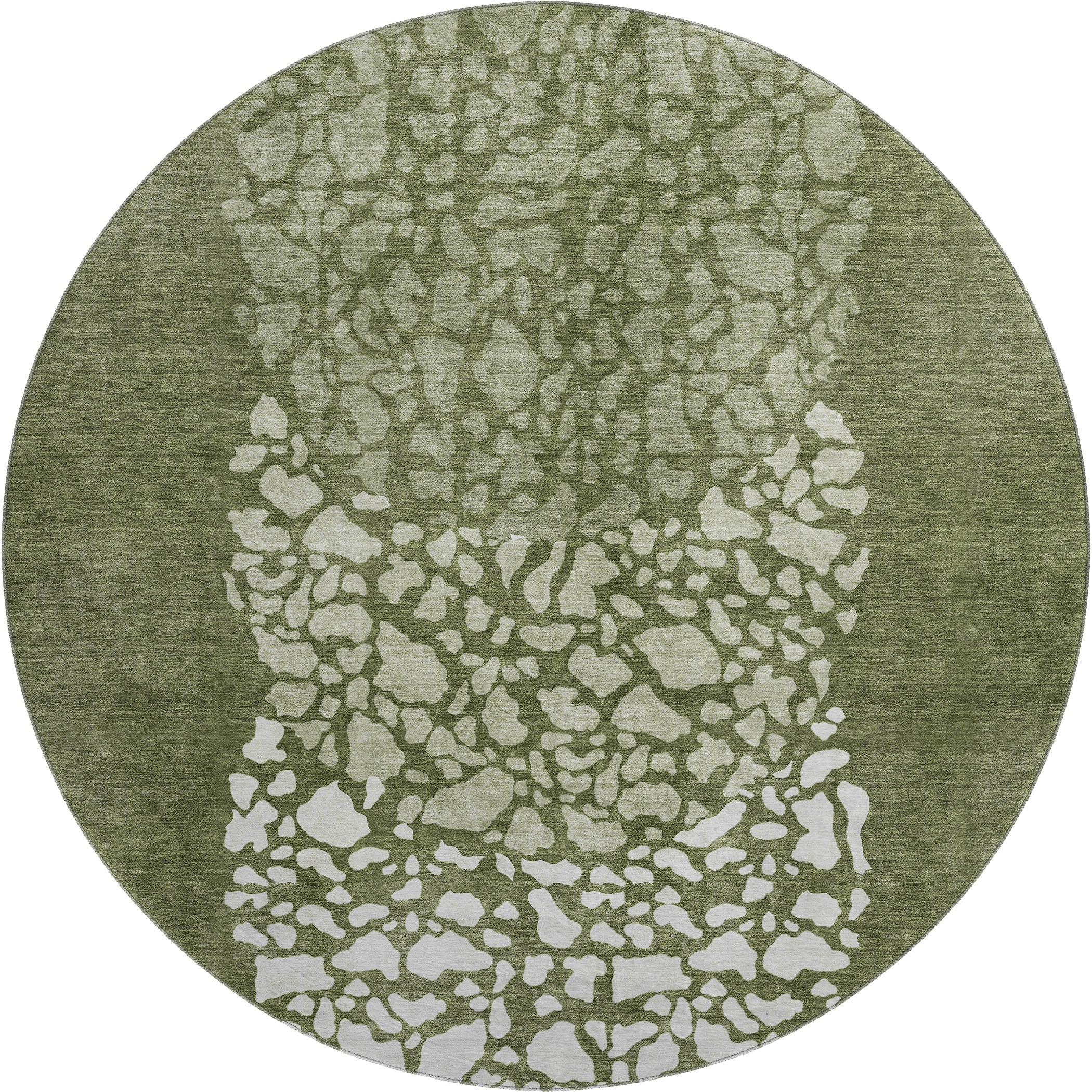 Reykjavik Machine Washable Transitional Olive Green Rug 8' x 8' #shape_Round