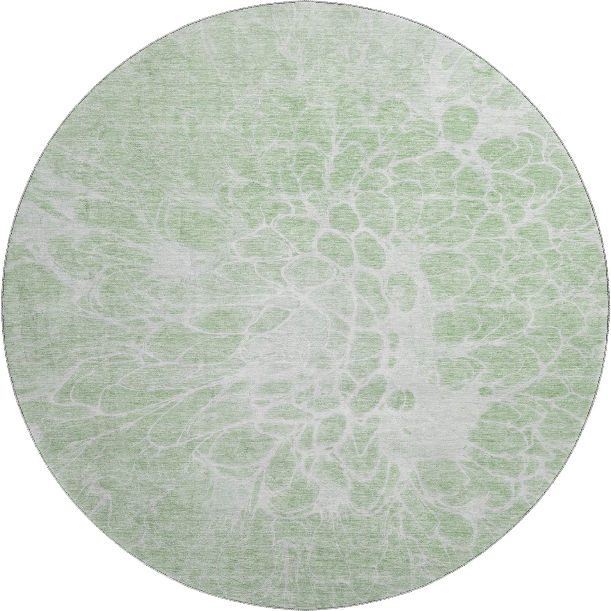 Lucerne Machine Washable Transitional Mint Green Rug 8' x 8' #shape_Round