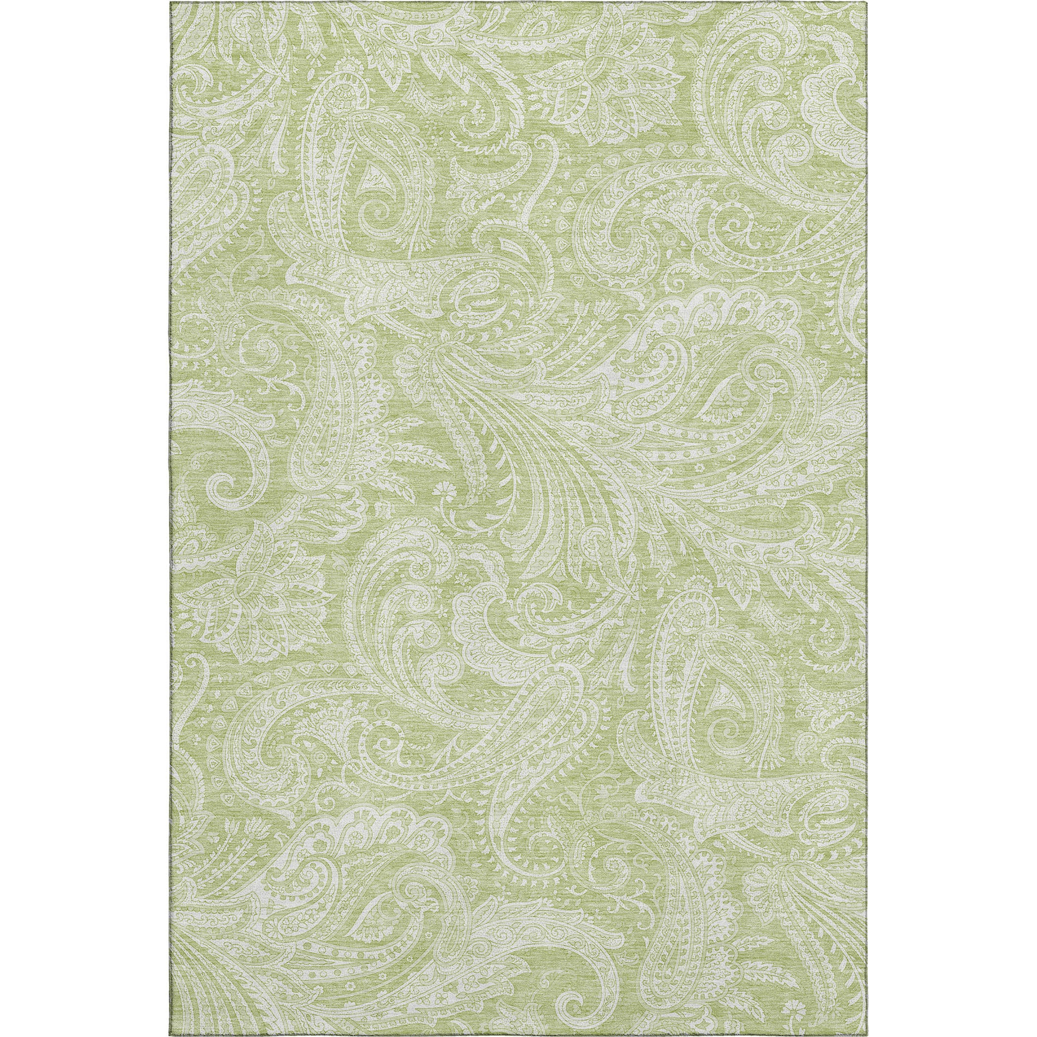 Seoul Machine Washable Transitional Aloe Green Rug 2'6" x 3'10" #shape_Rectangle