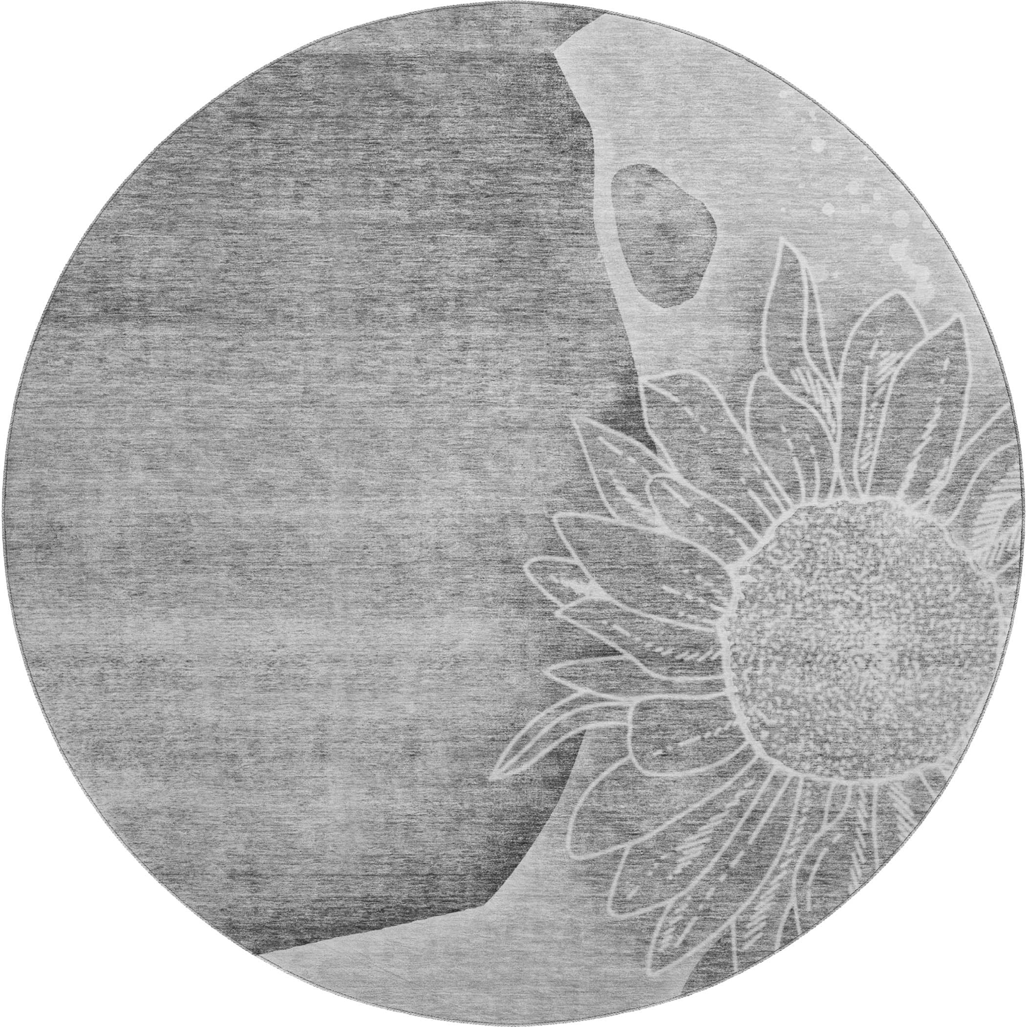 Oaxaca Machine Washable Transitional Gray Rug 8' x 8' #shape_Round