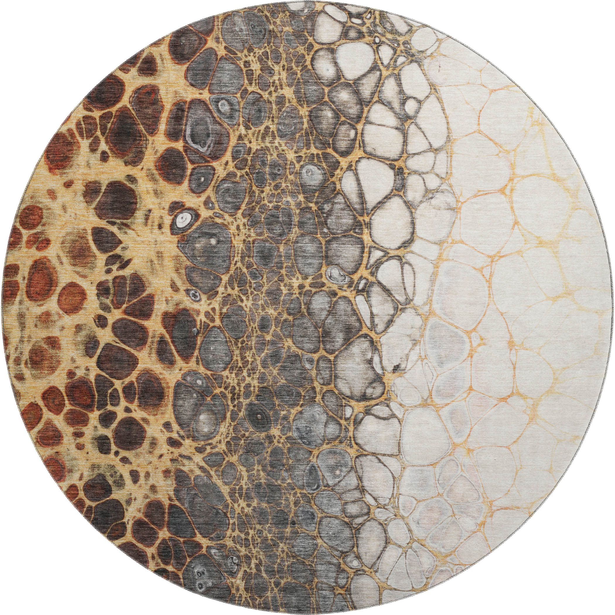 Rome Machine Washable Transitional Ivory Rug 8' x 8' #shape_Round