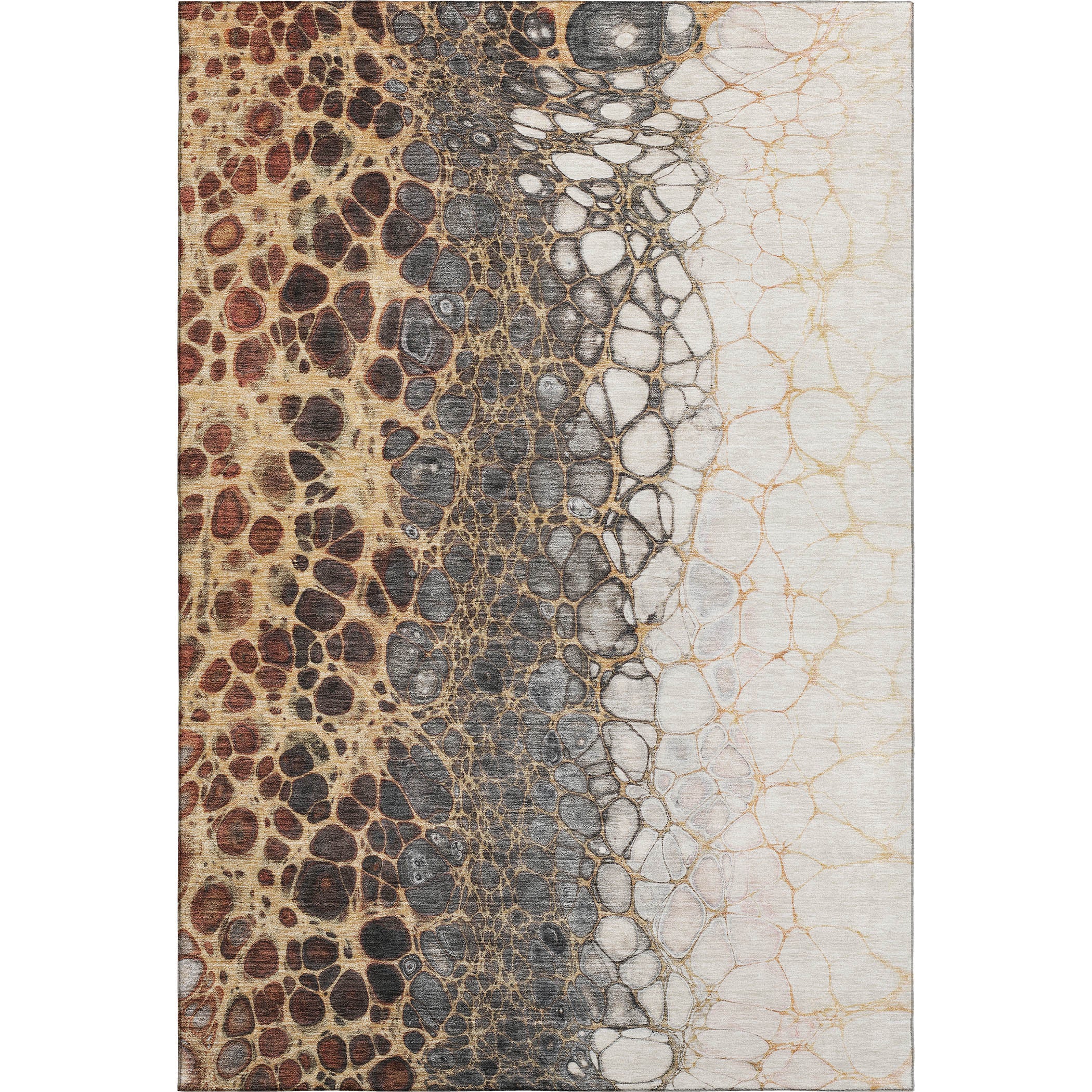 Rome Machine Washable Transitional Ivory Rug 2'6" x 3'10" #shape_Rectangle