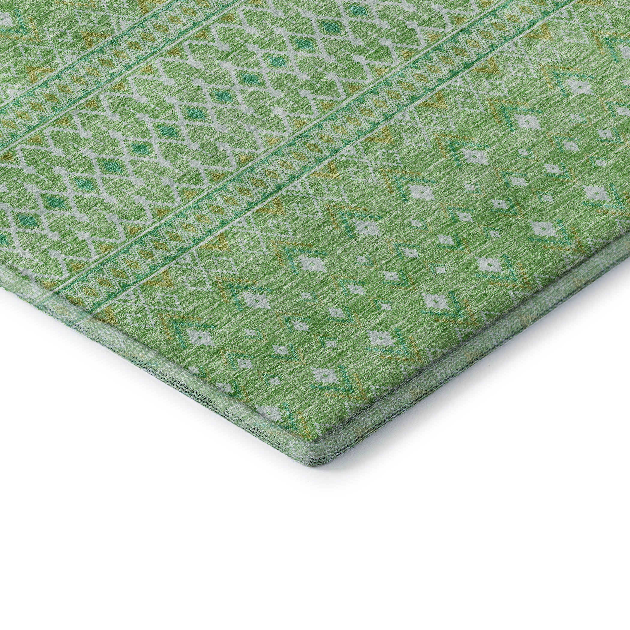 Oaxaca Machine Washable Transitional Aloe Green Rug 1'8" x 2'6" #shape_Rectangle