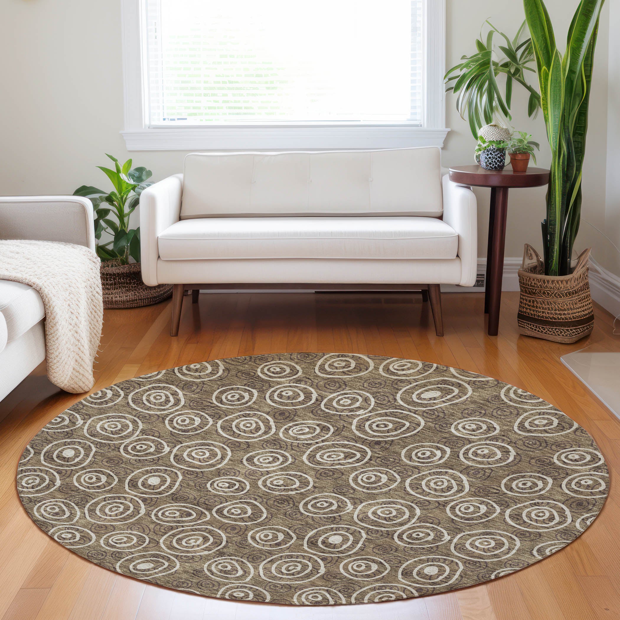 Sintra Machine Washable Transitional Brown Rug 8' x 8' #shape_Round