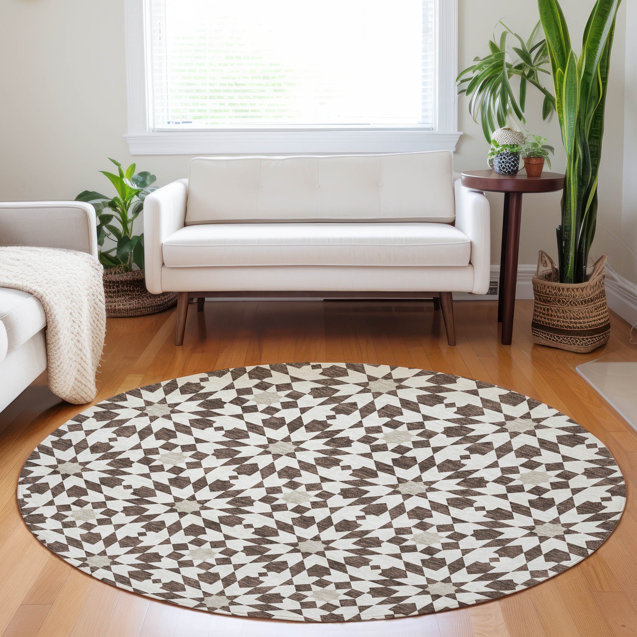 Queenstown Machine Washable Transitional Brown Rug 8' x 8' #shape_Round