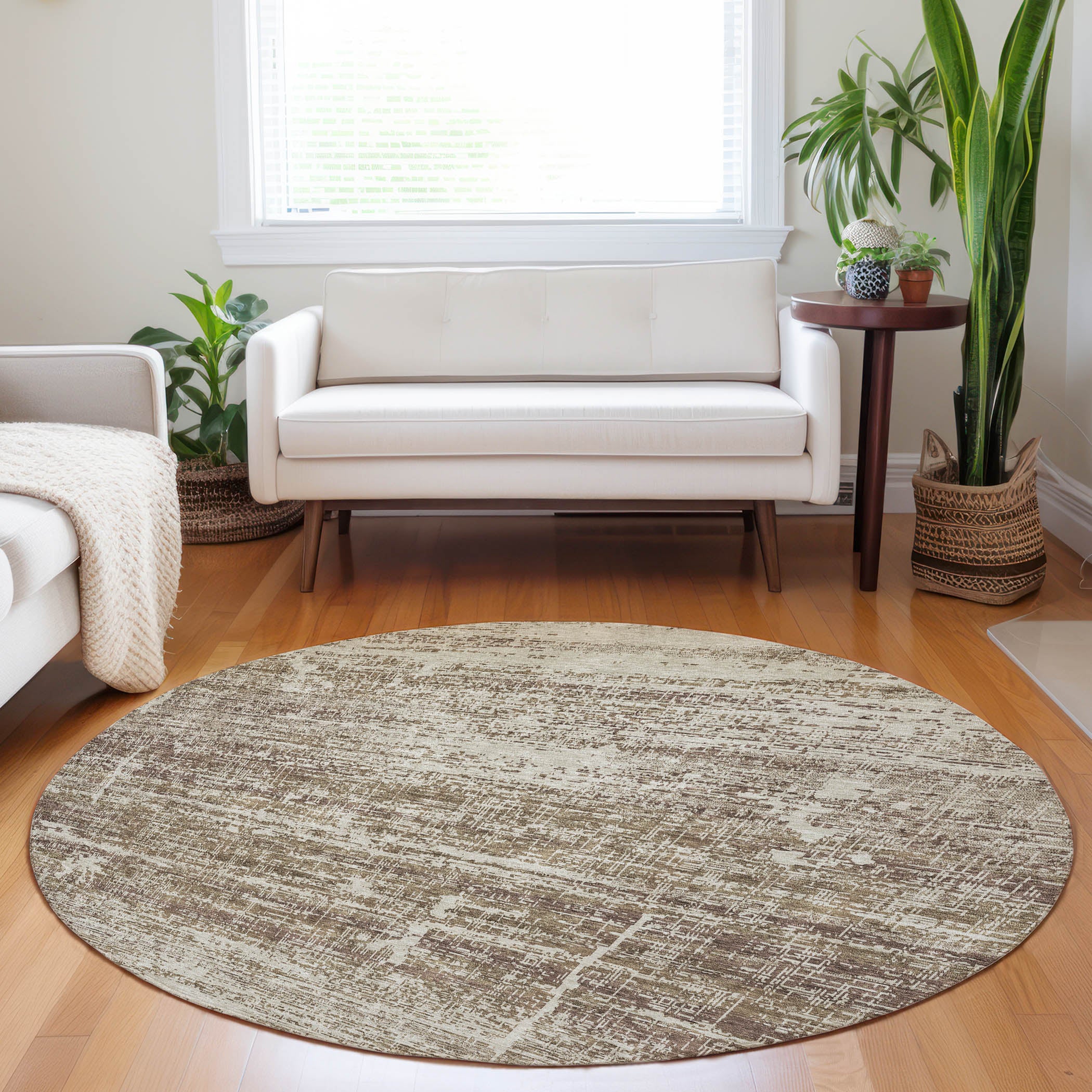 Havana Machine Washable Transitional Brown Rug 8' x 8' #shape_Round