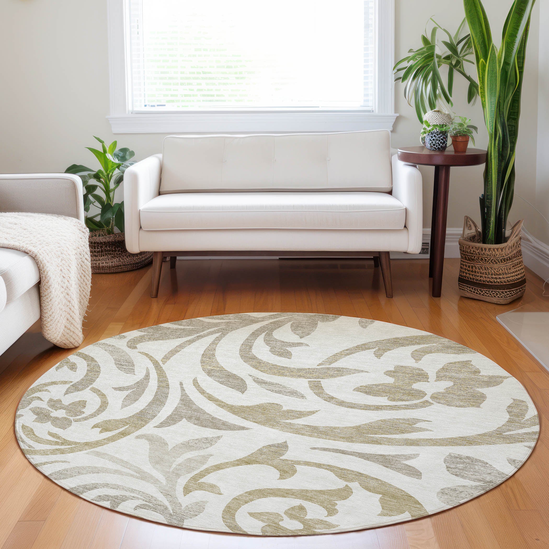 Salzburg Machine Washable Transitional Ivory Rug 8' x 8' #shape_Round