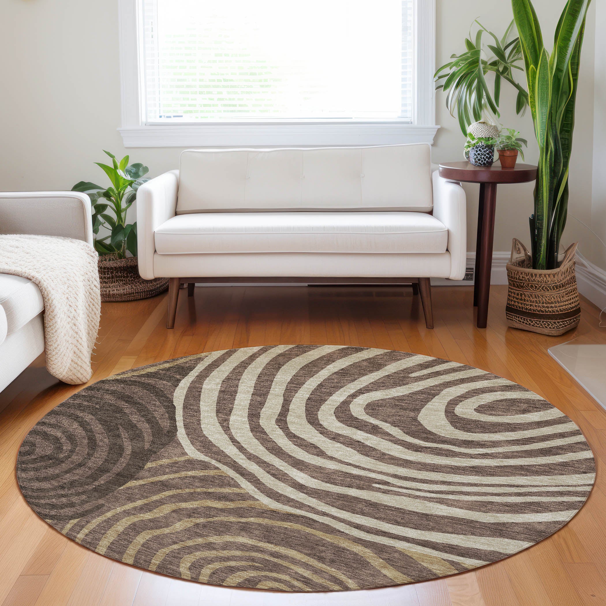 Chiang Mai Machine Washable Transitional Fudge Brown Rug 8' x 8' #shape_Round