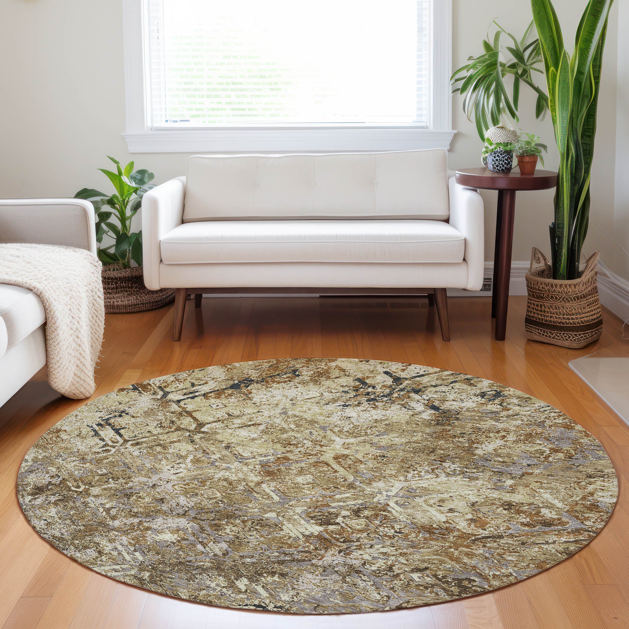Cairo Machine Washable Transitional Beige Brown Rug 8' x 8' #shape_Round