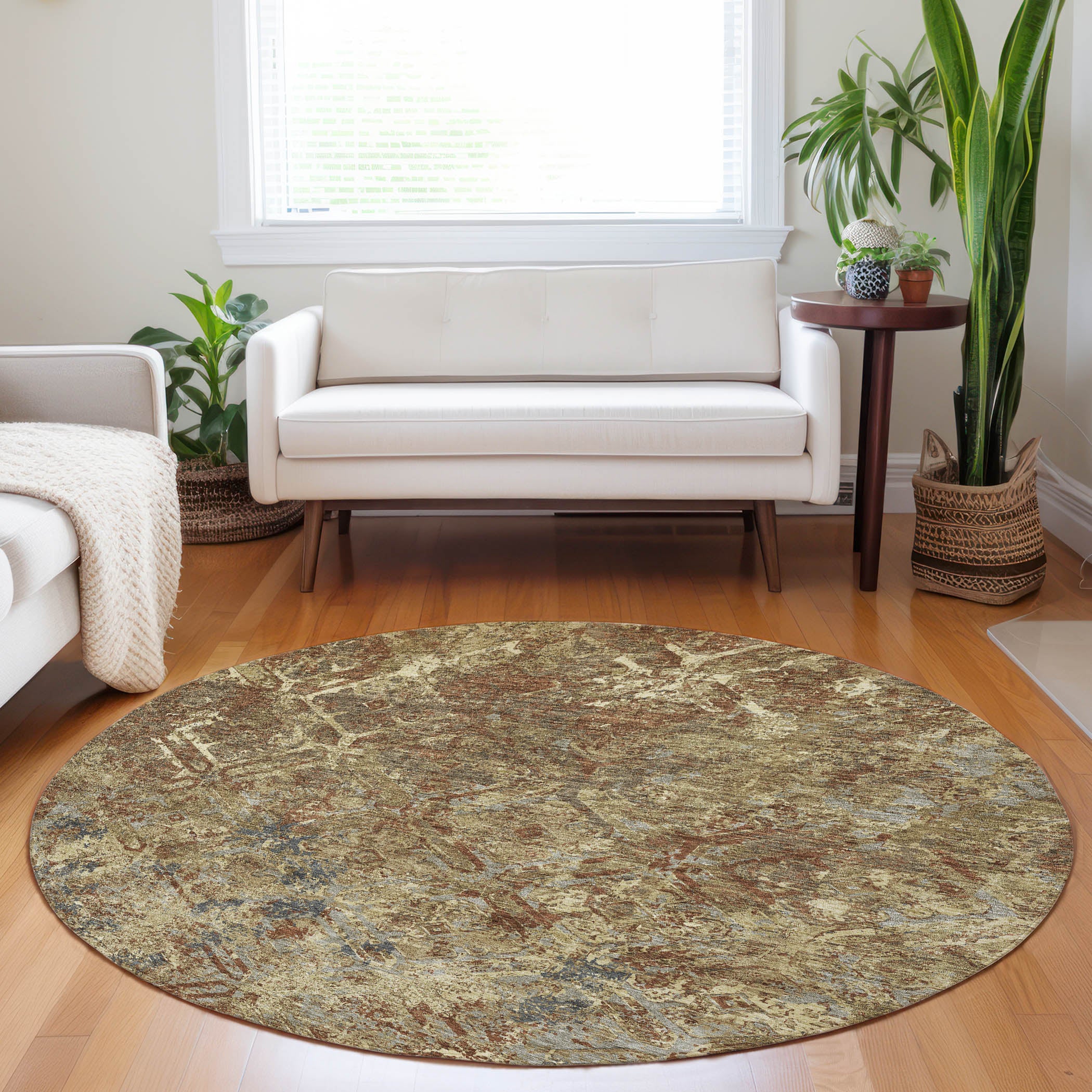 Cairo Machine Washable Transitional Brown Rug 8' x 8' #shape_Round