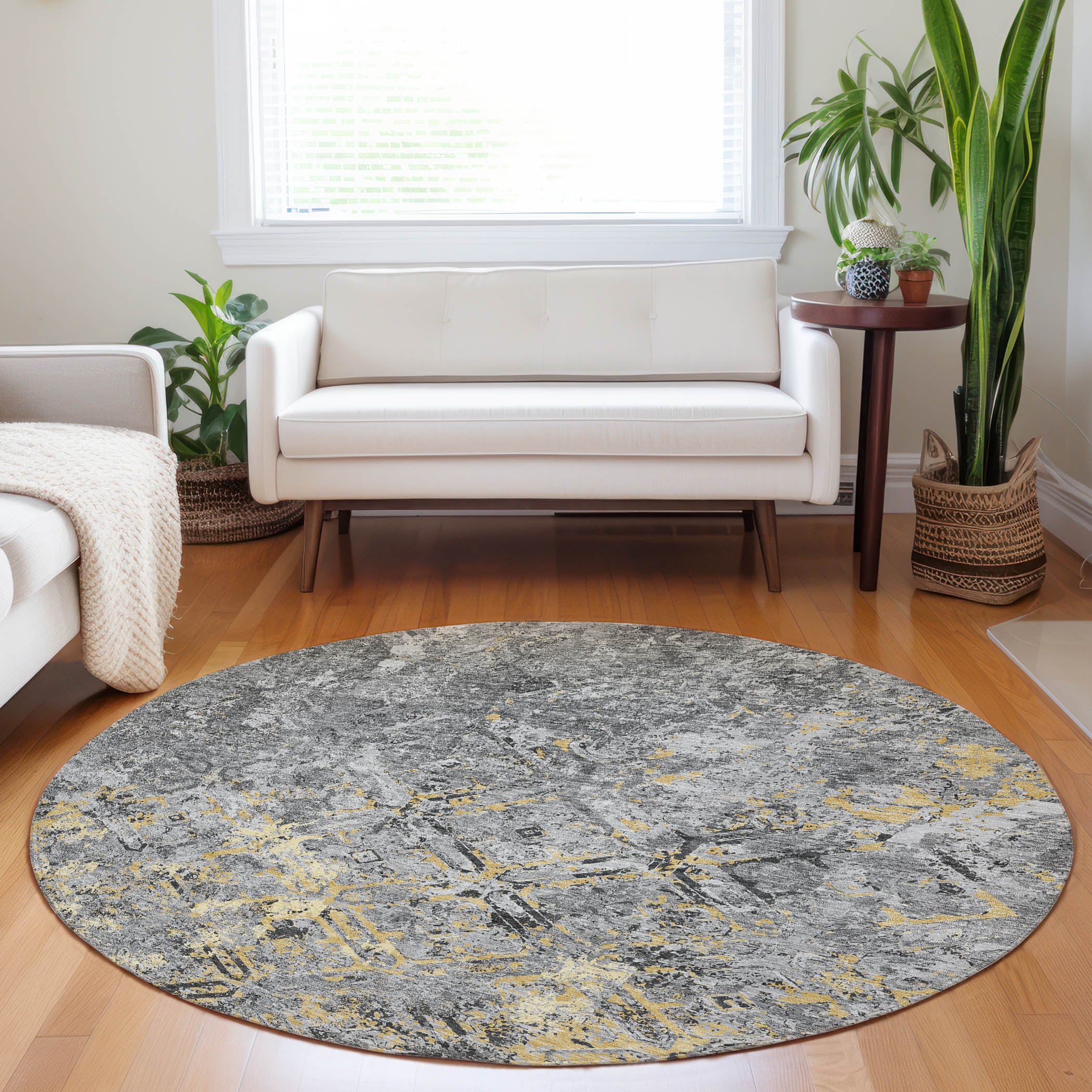 Cairo Machine Washable Transitional Gray Rug 8' x 8' #shape_Round
