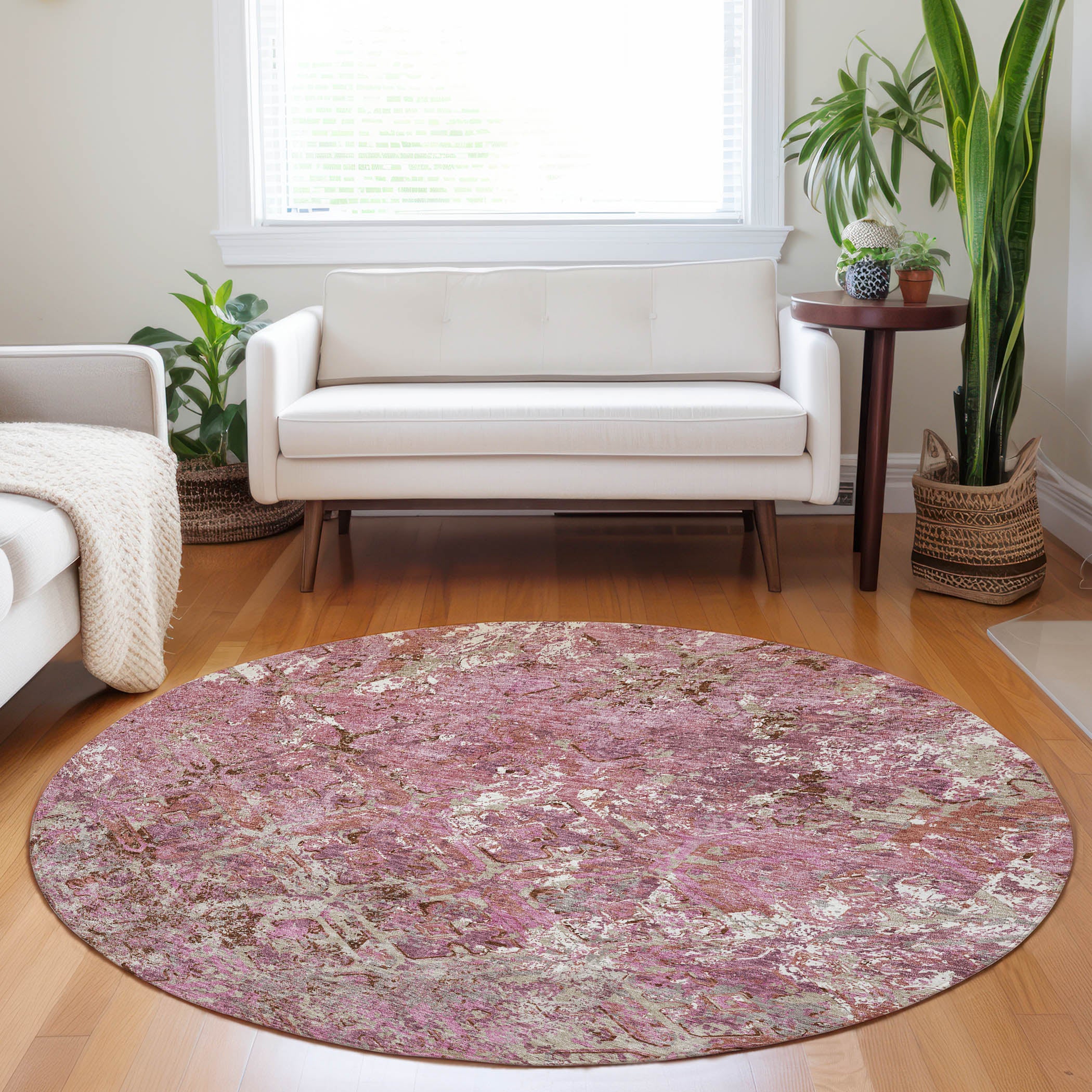 Cairo Machine Washable Transitional Pink Rug 8' x 8' #shape_Round