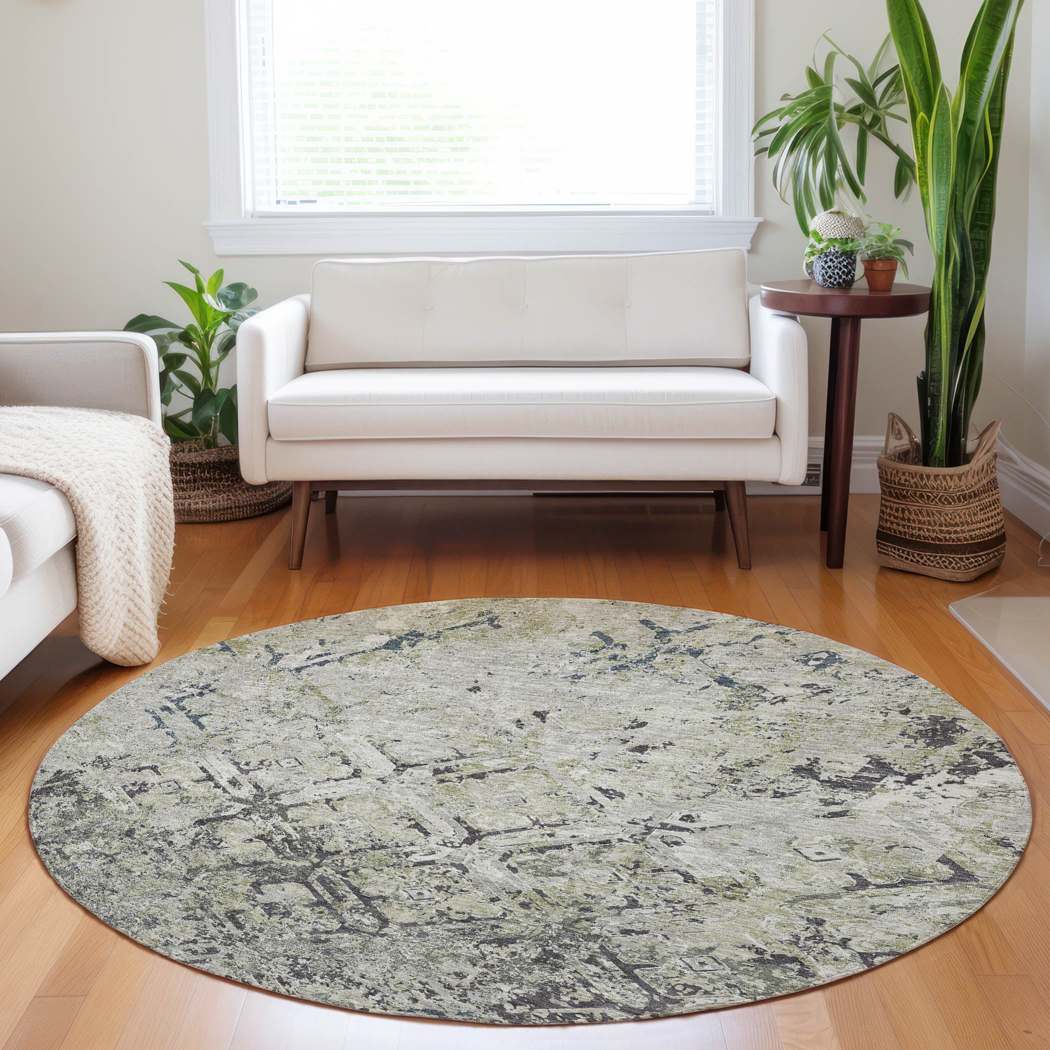 Cairo Machine Washable Transitional Silver Gray Rug 8' x 8' #shape_Round